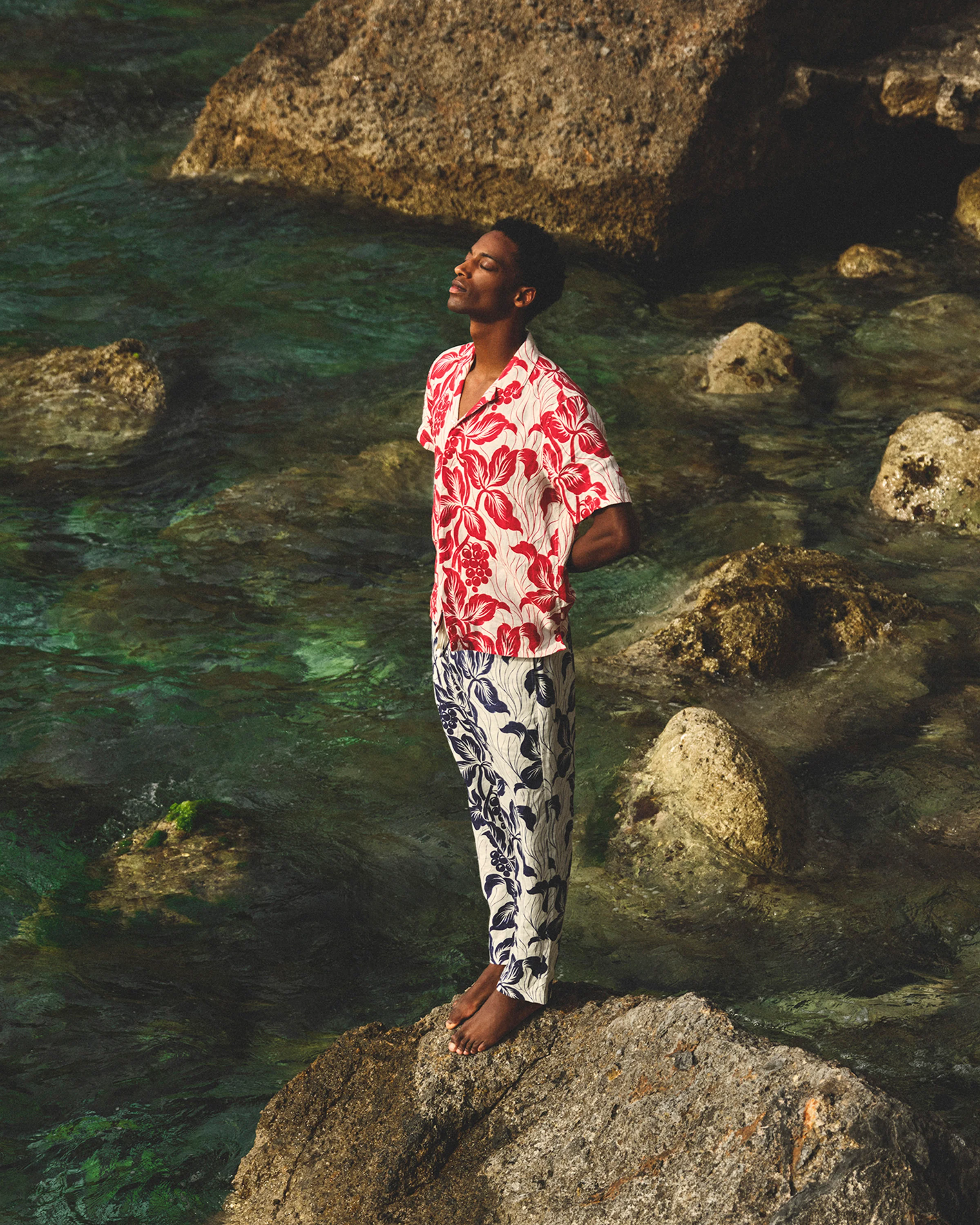 Alex Linen - Image 5