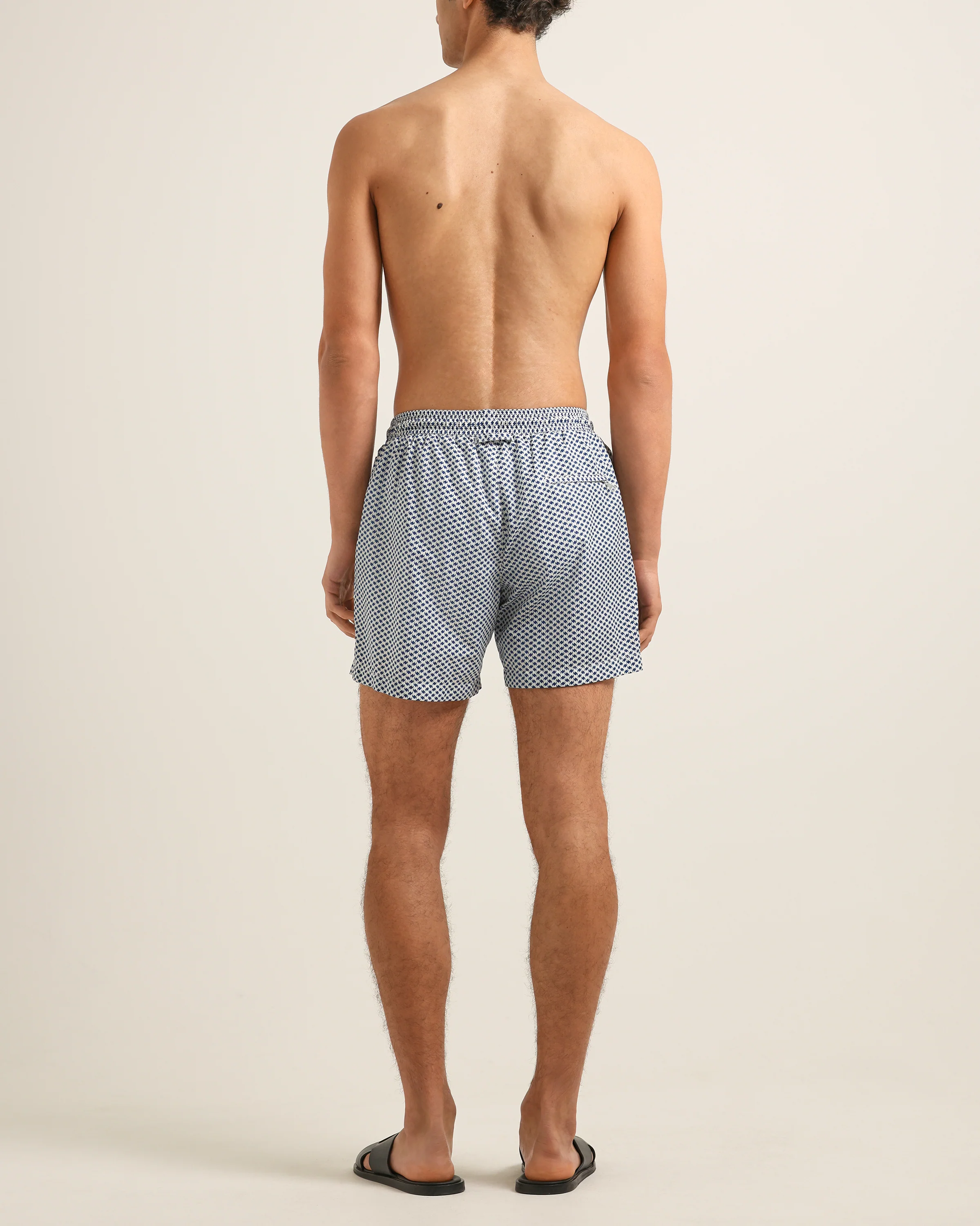 Boxer - Image 3