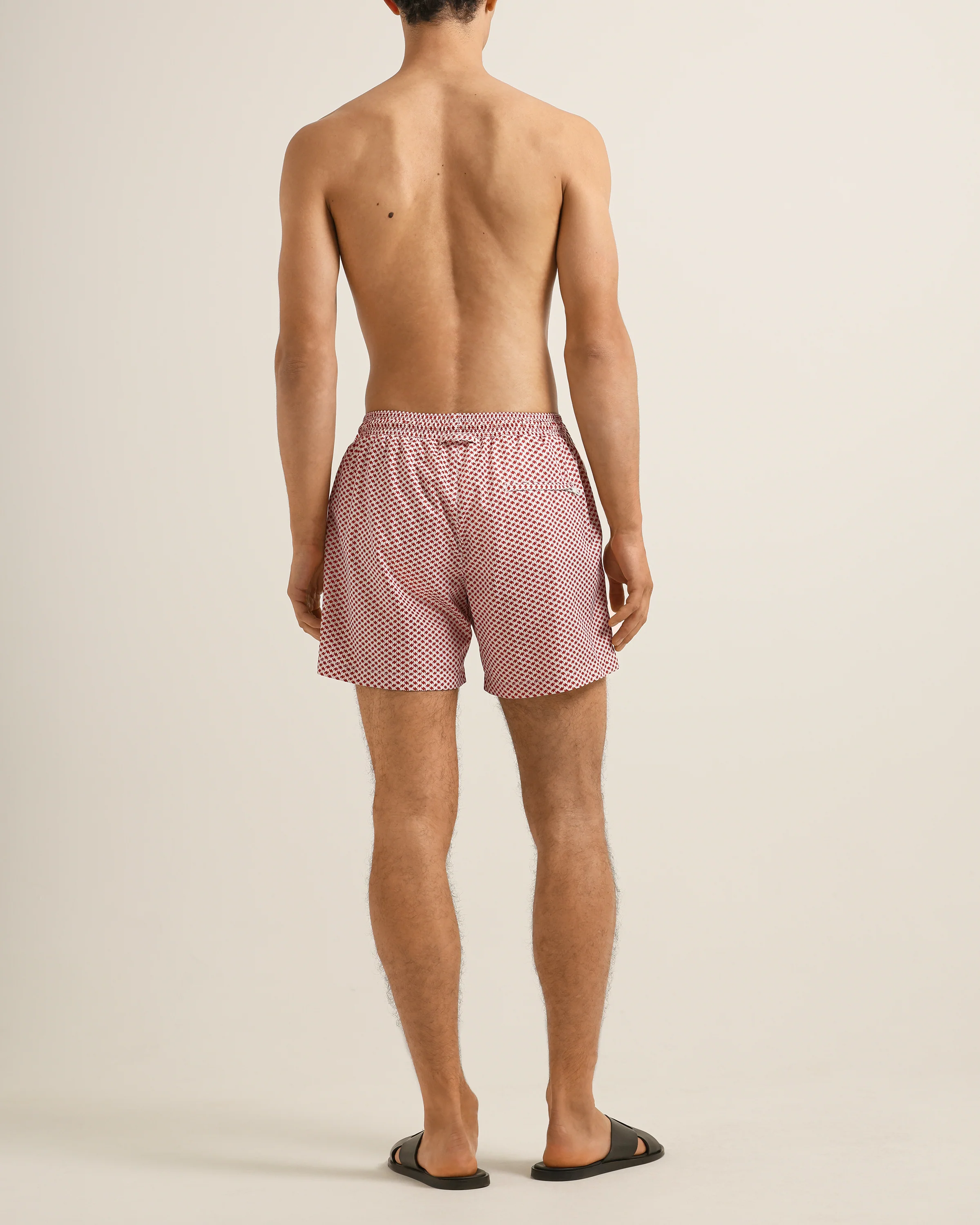 Boxer - Image 3