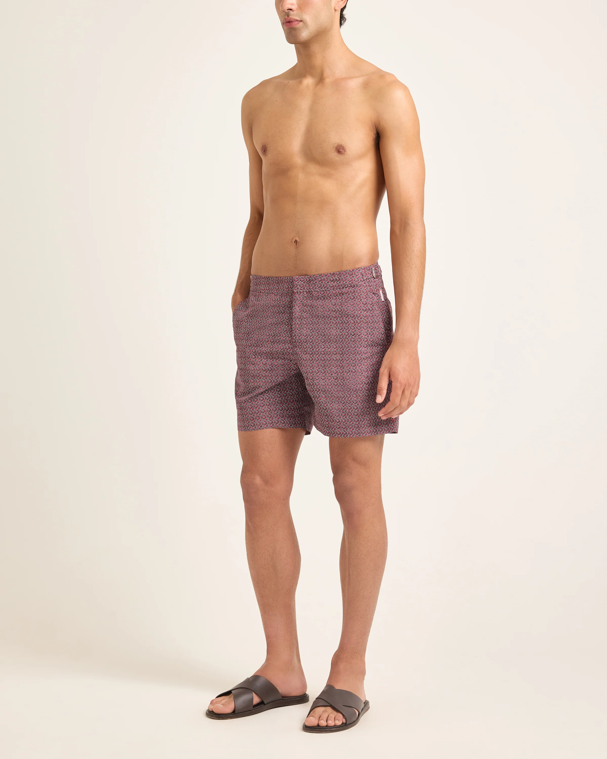 Bulldog - Image 3