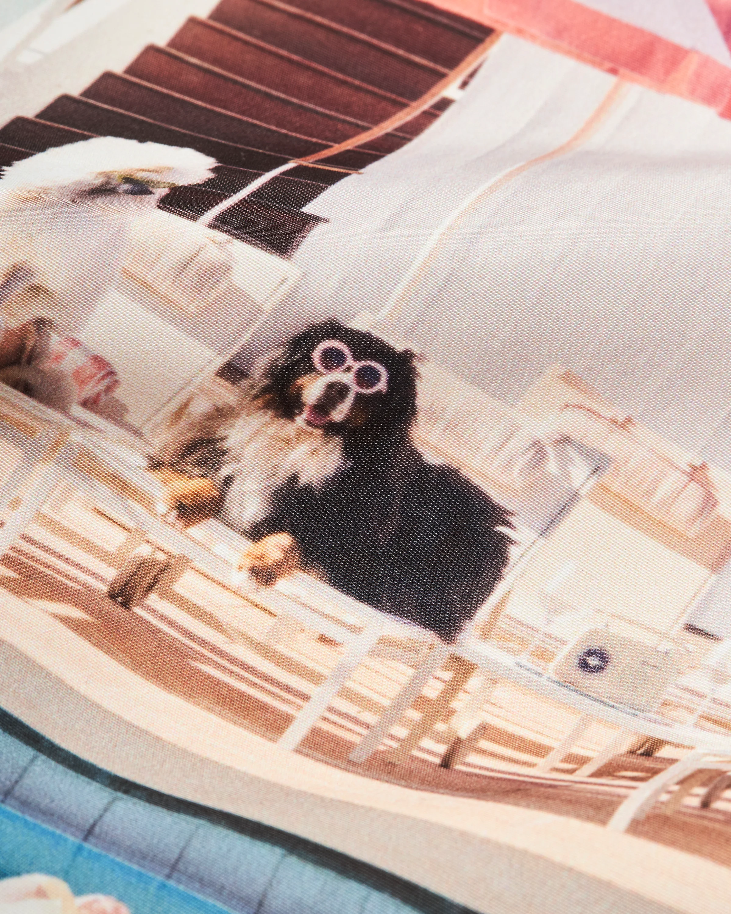 Bulldog - Image 4