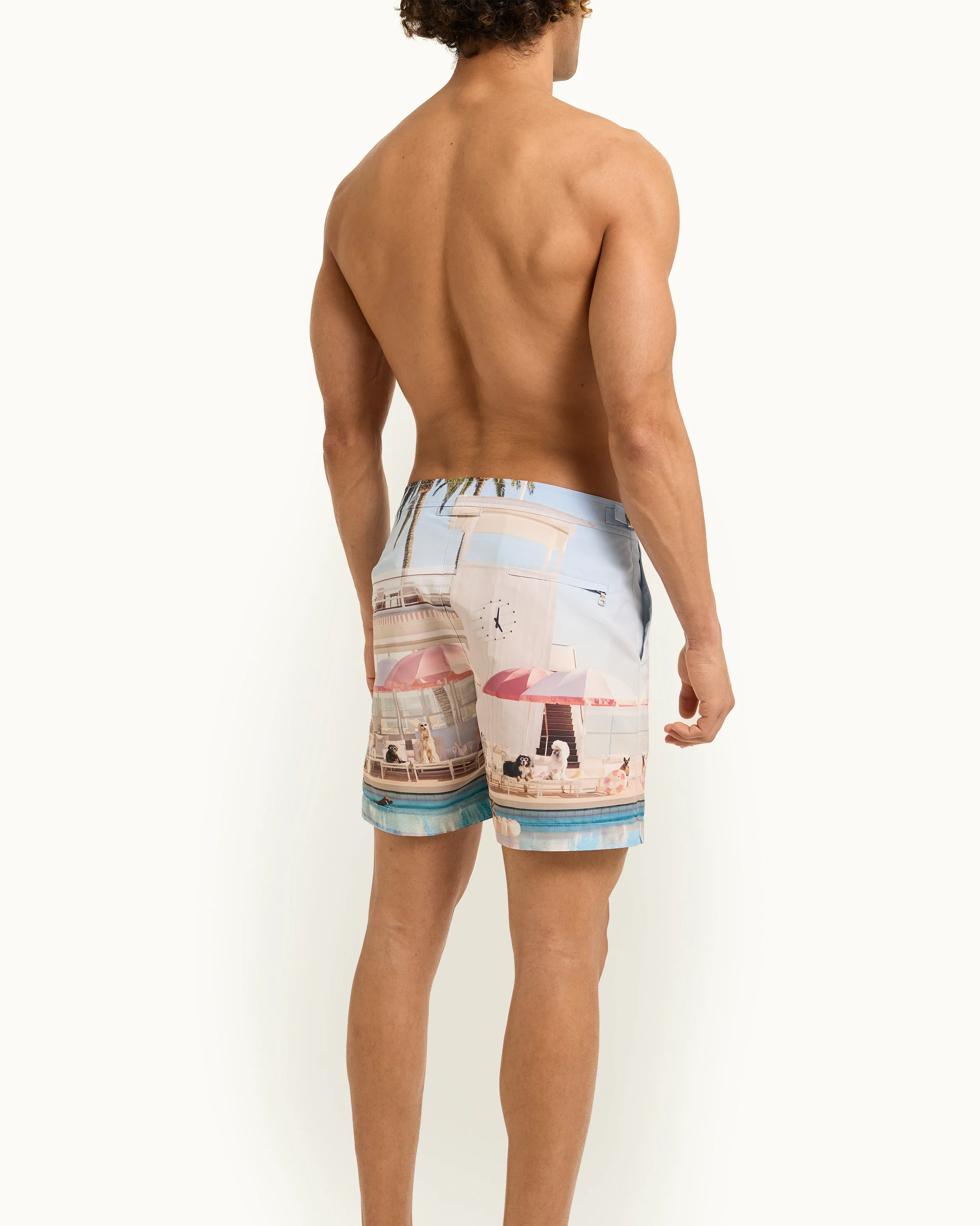 Bulldog - Image 5