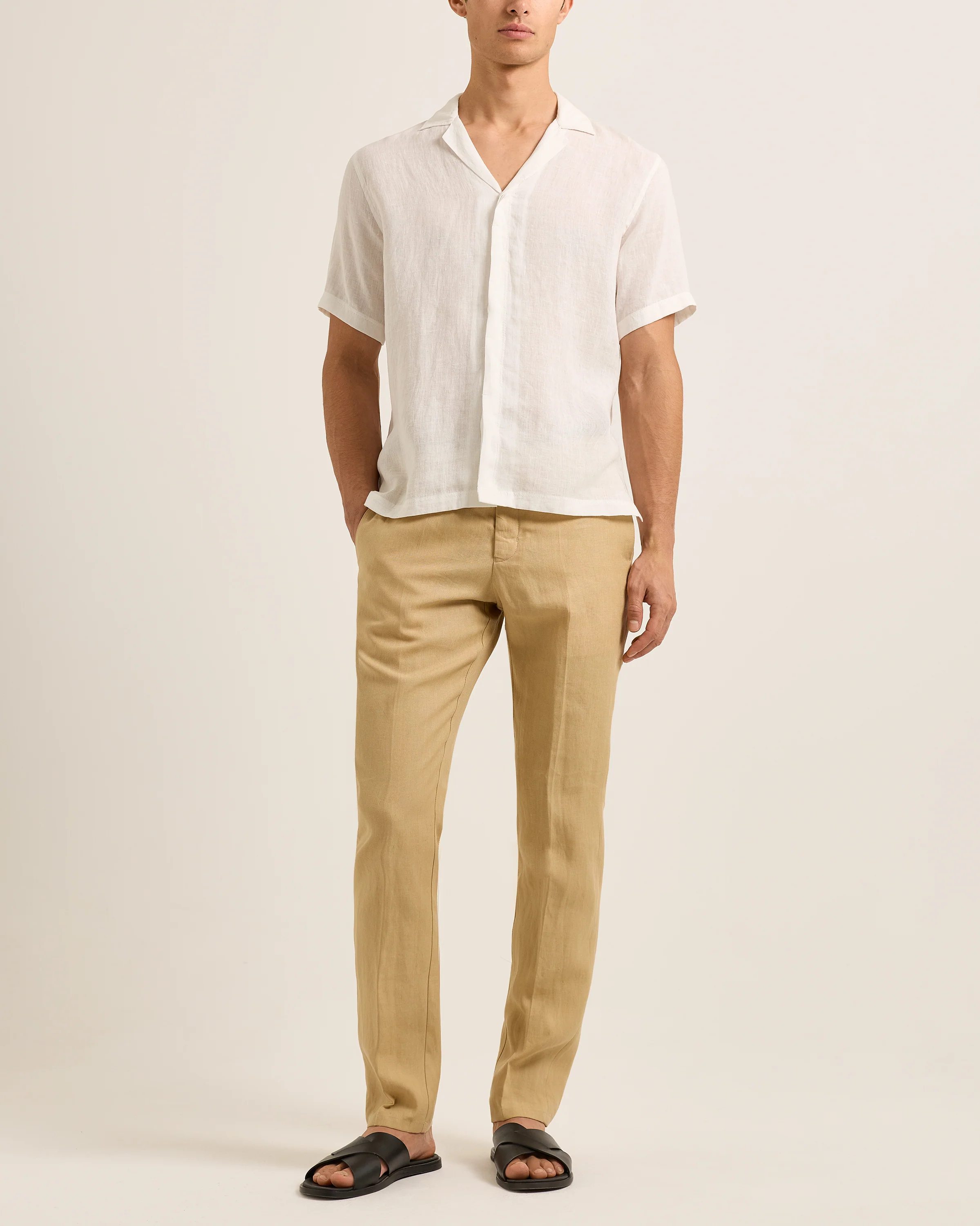 Griffon Lino - Image 2