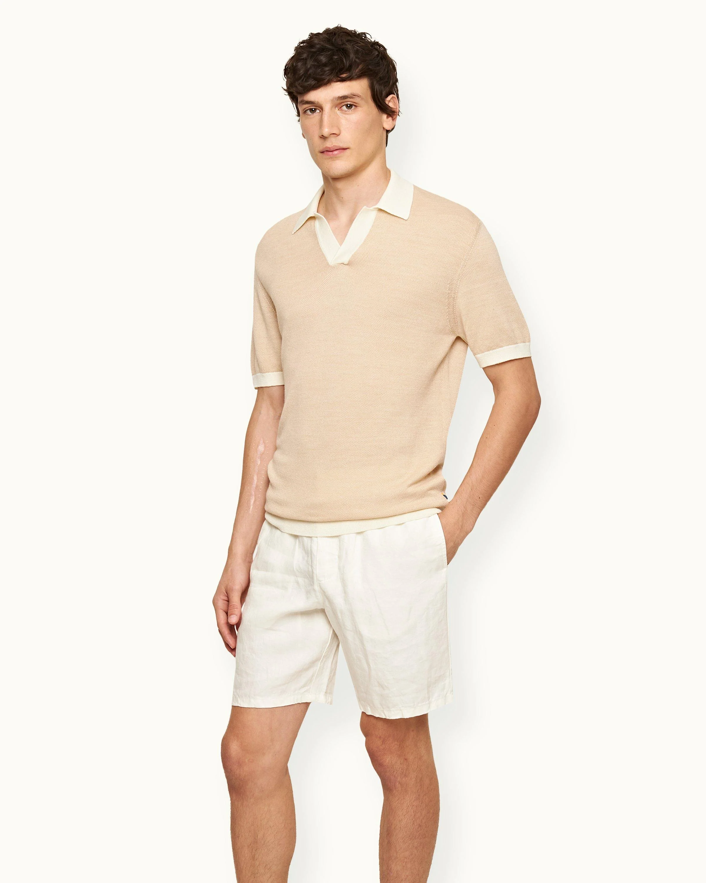 Horton Merino - Image 2