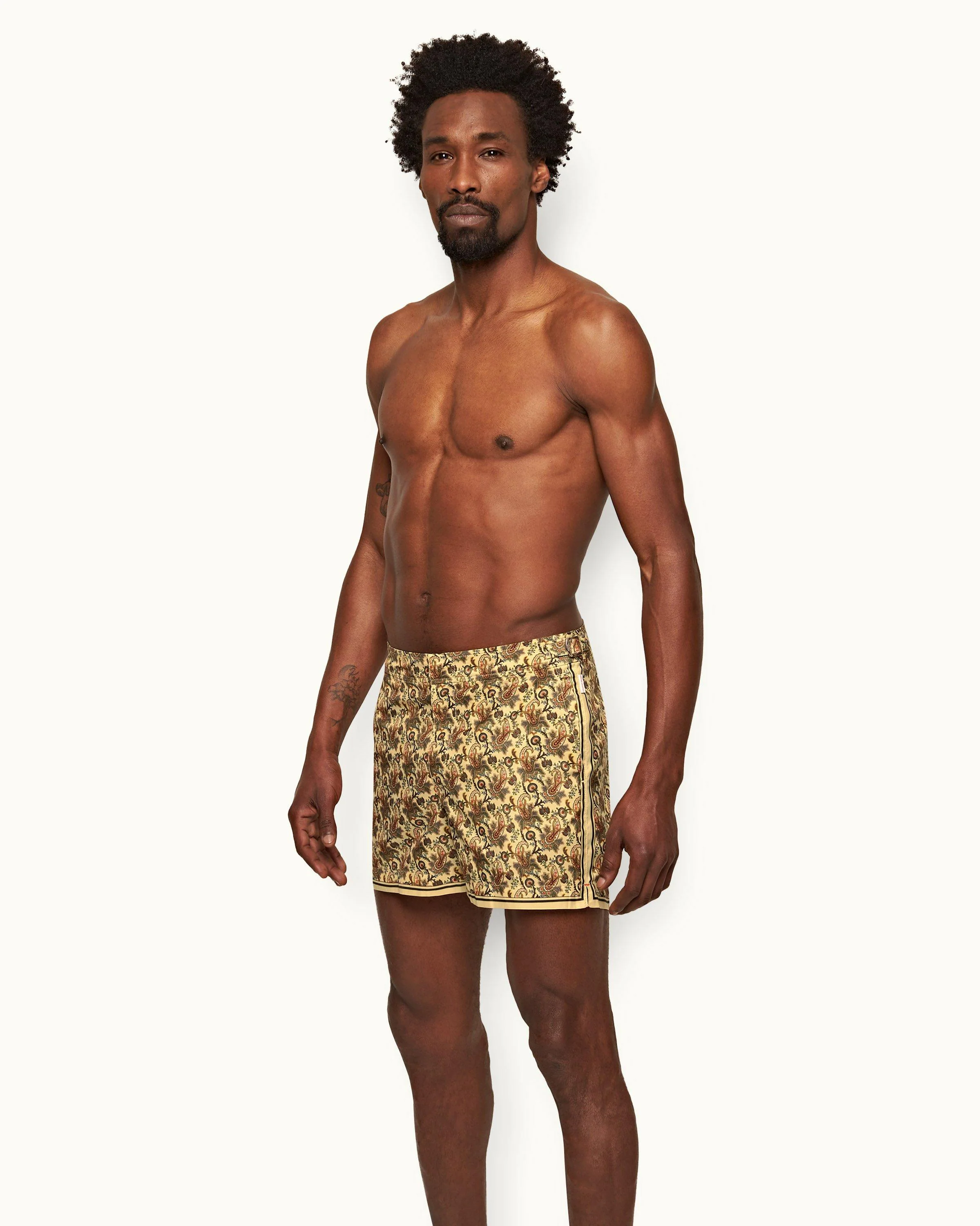Setter - Image 3