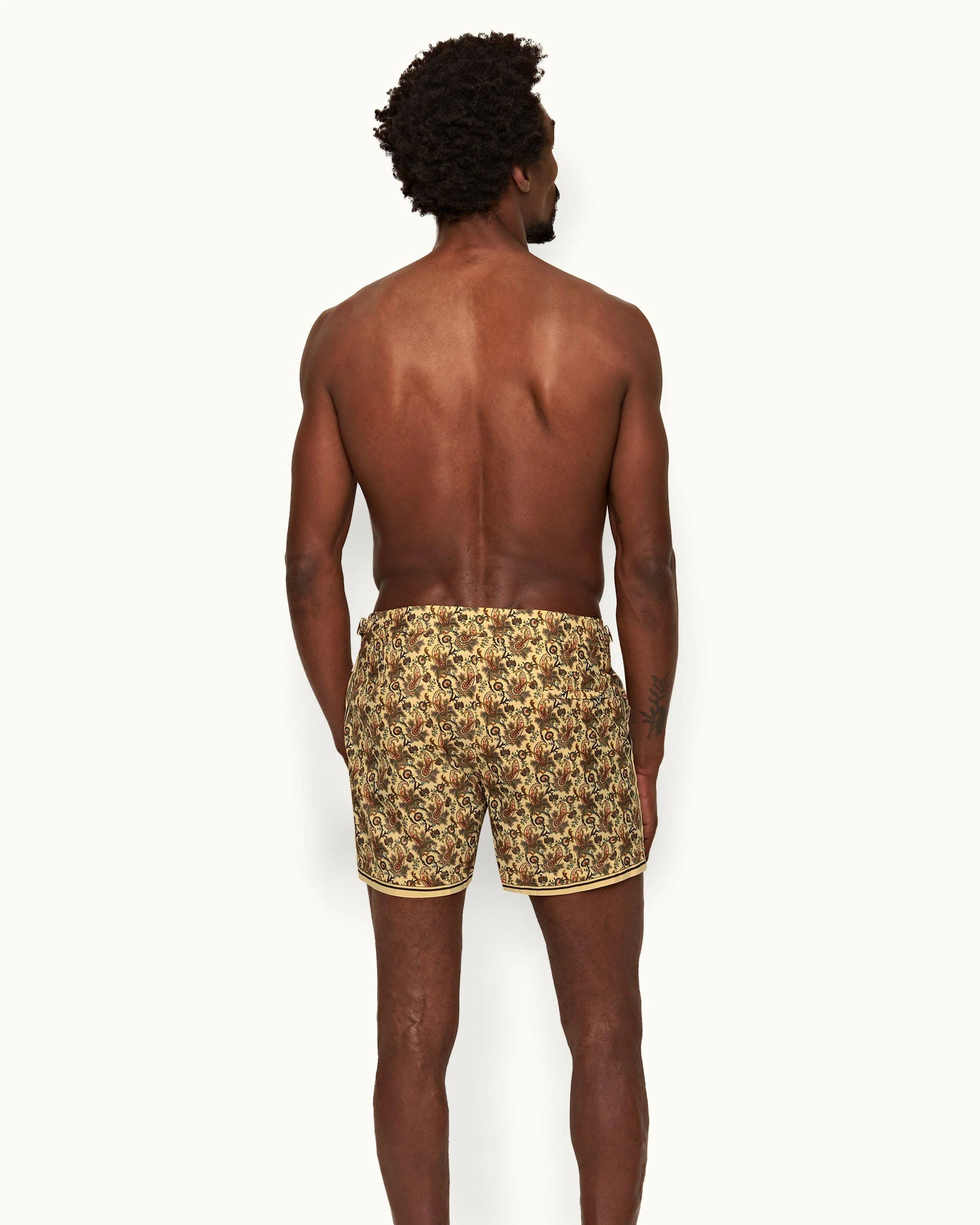 Setter - Image 4