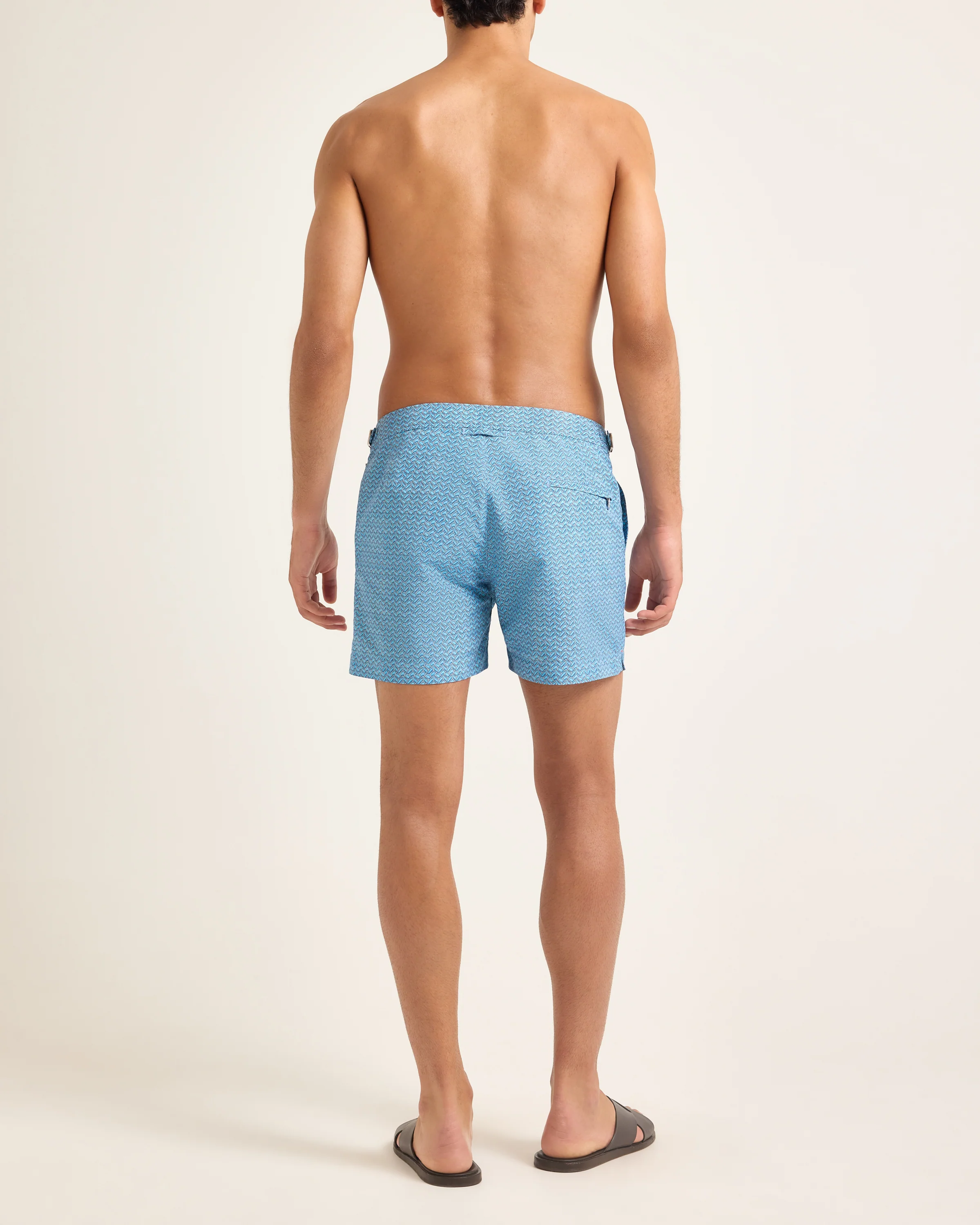 Setter - Image 4