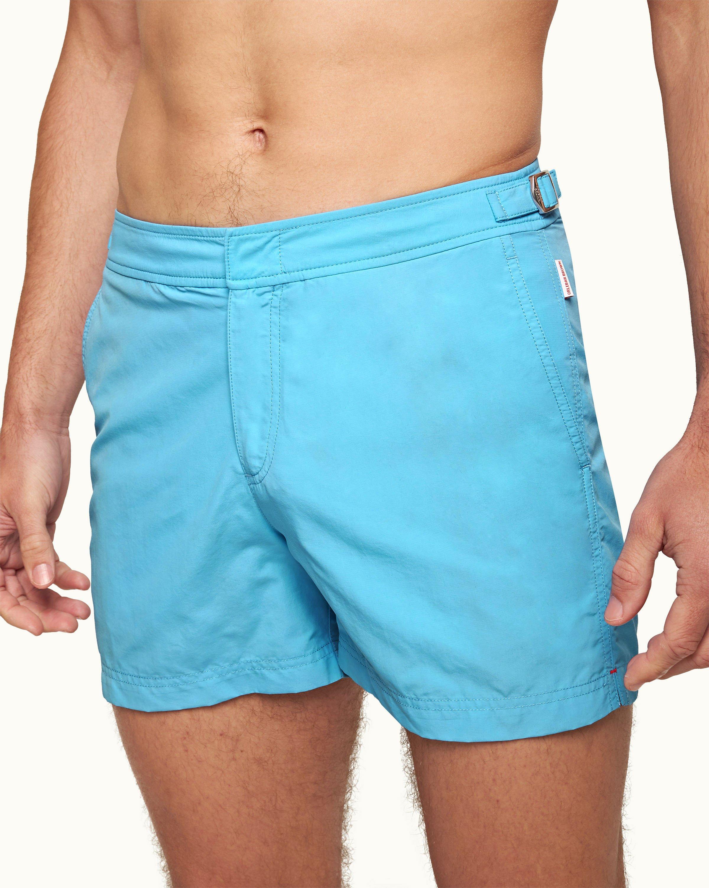 Setter - Image 4