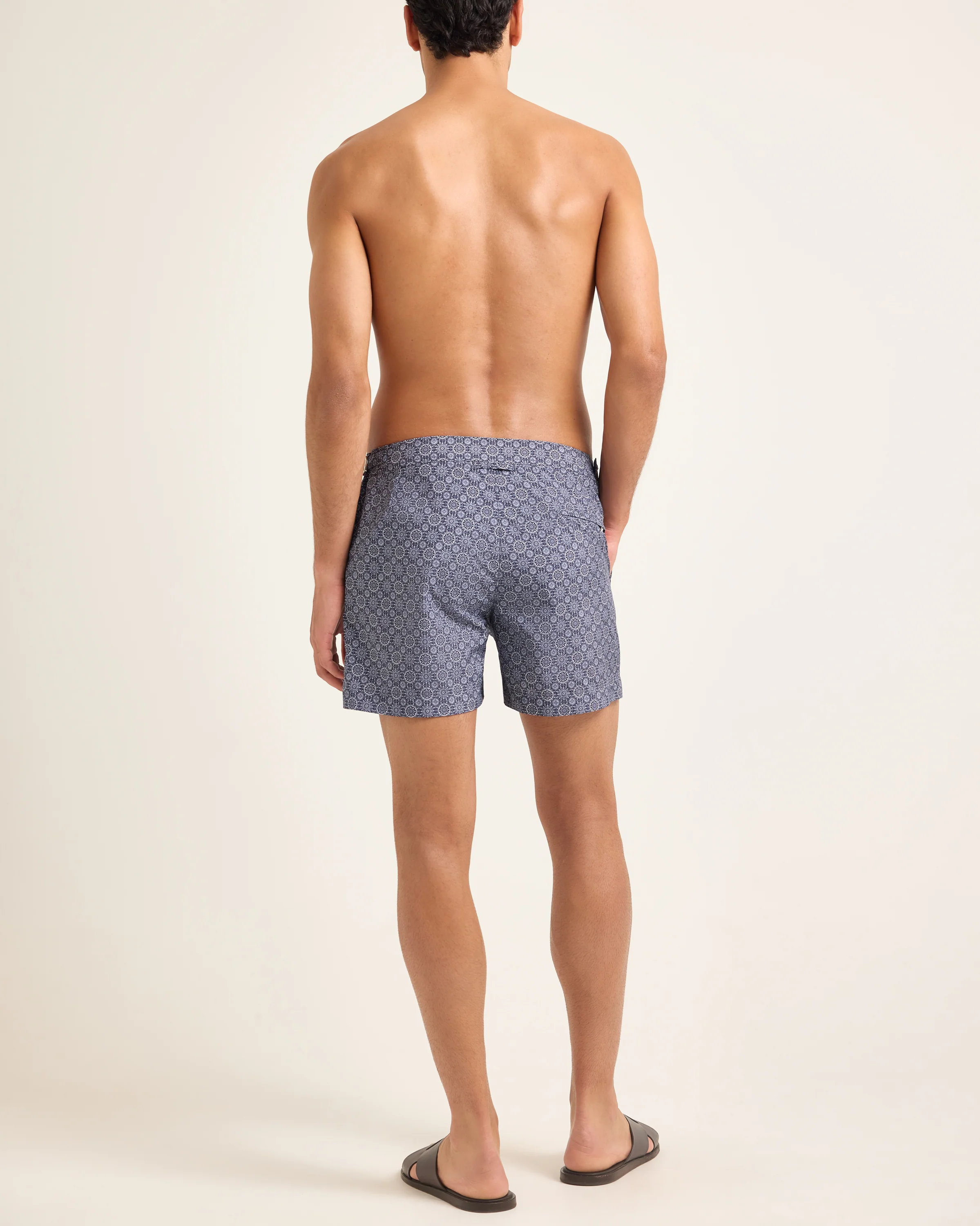 Setter - Image 4