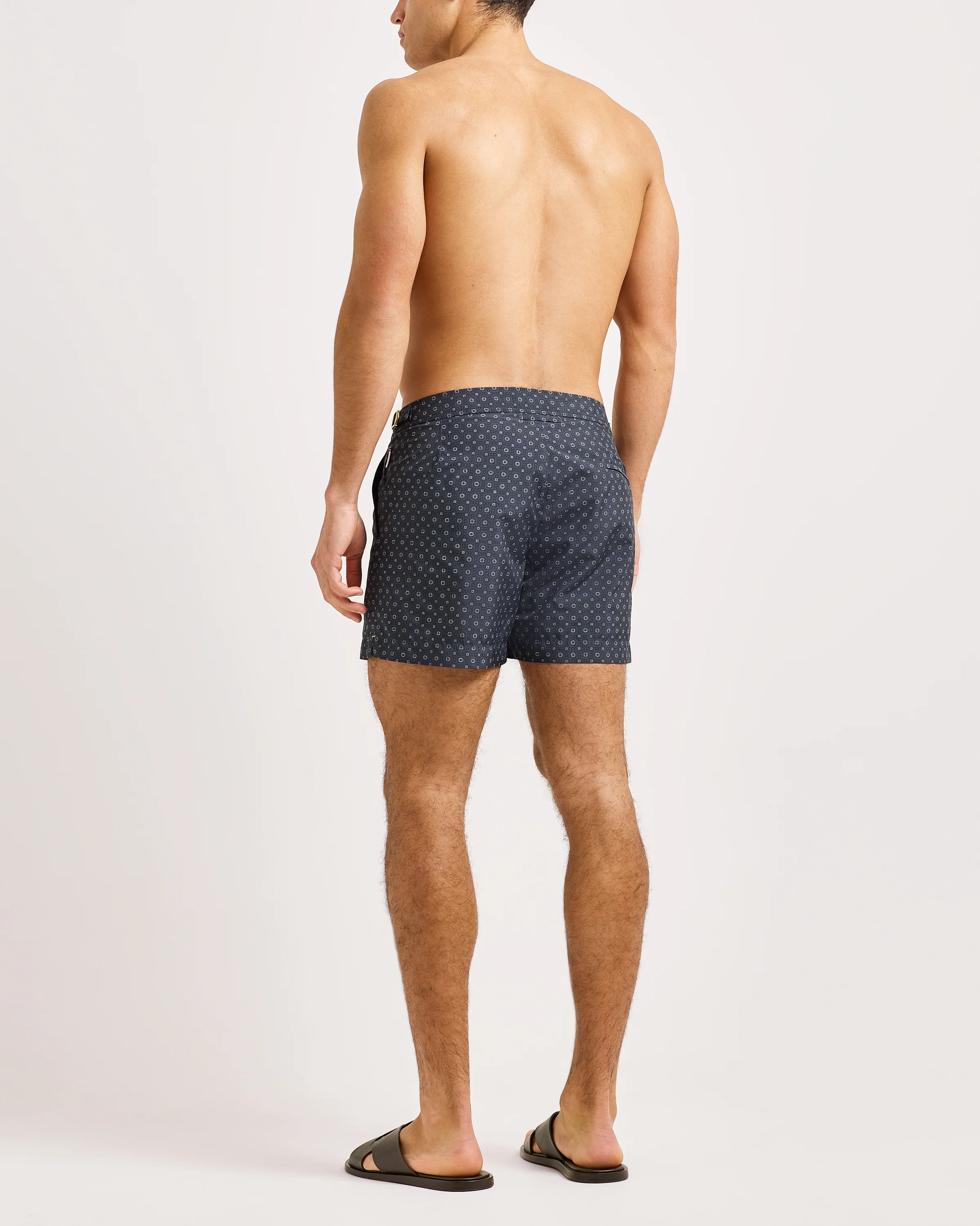 Setter - Image 4