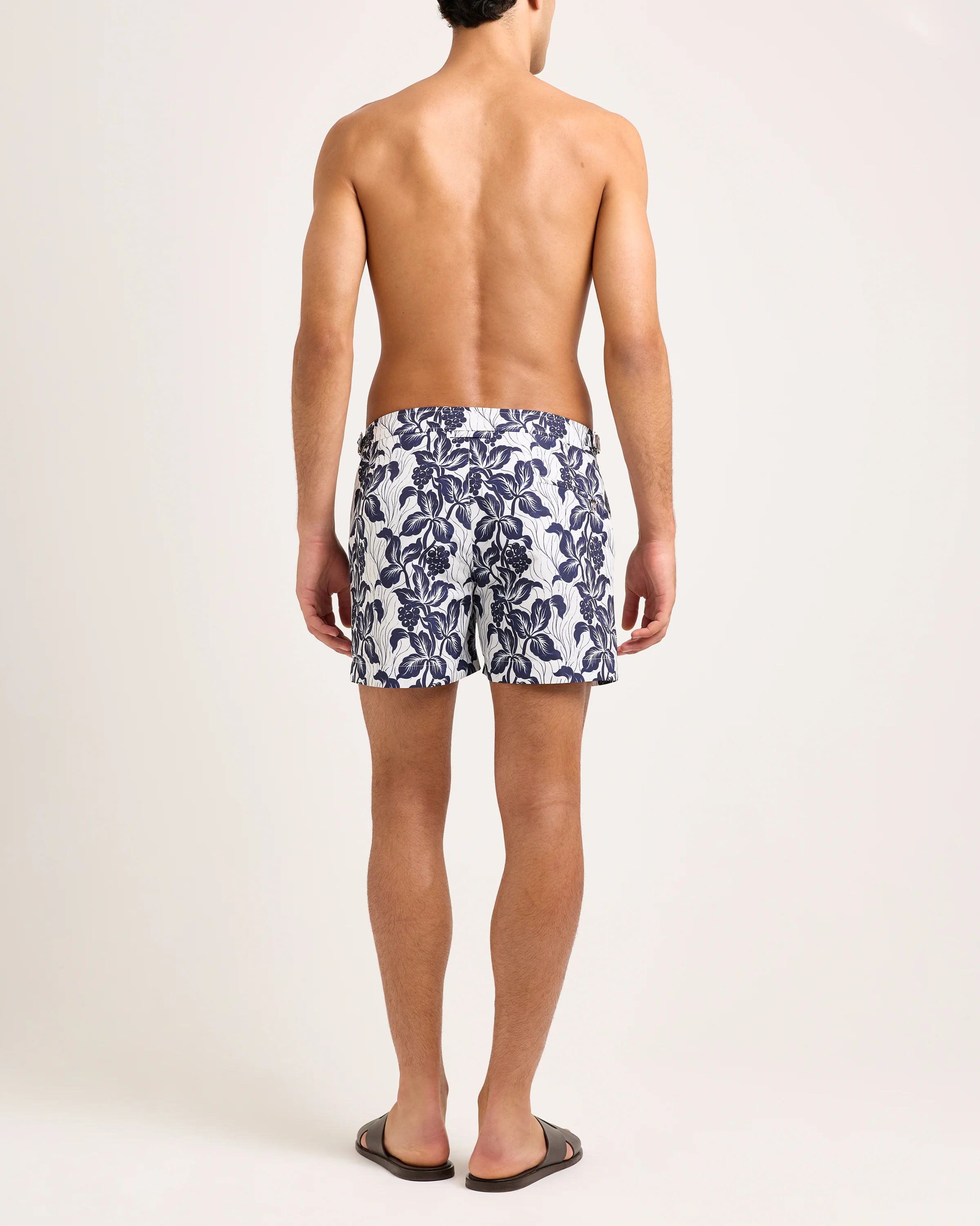 Setter - Image 4