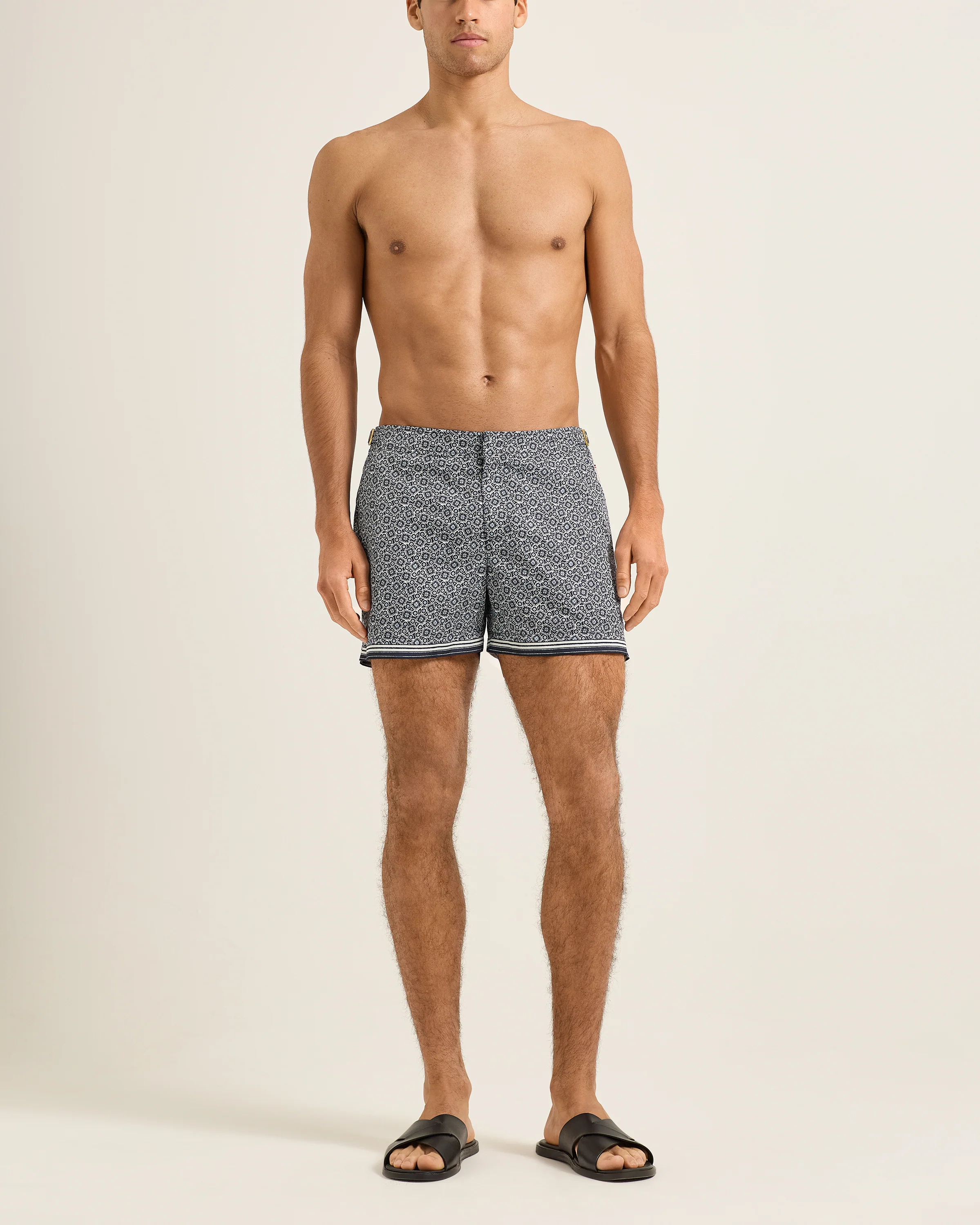 Setter - Image 2