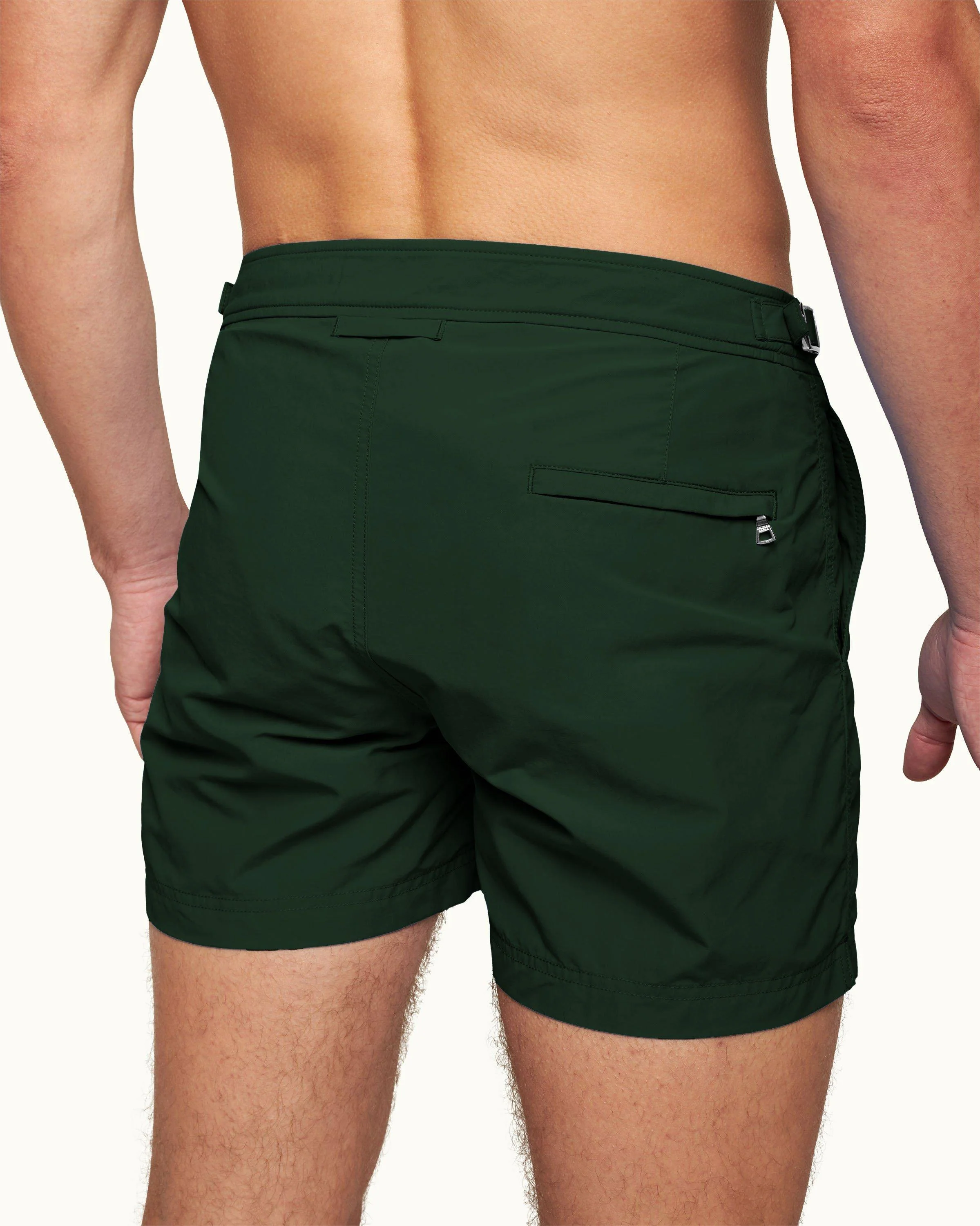 Setter - Image 5