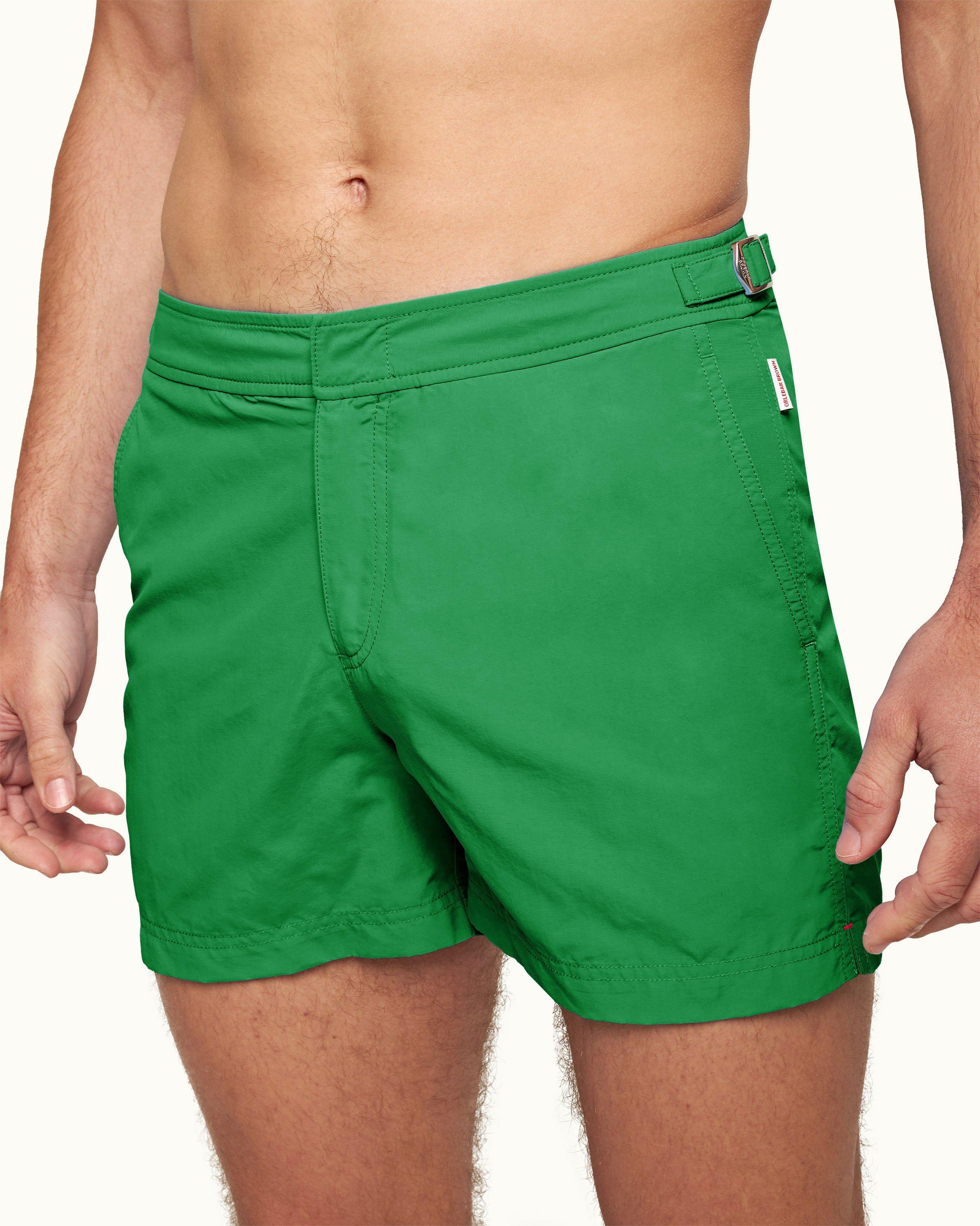 Setter - Image 4