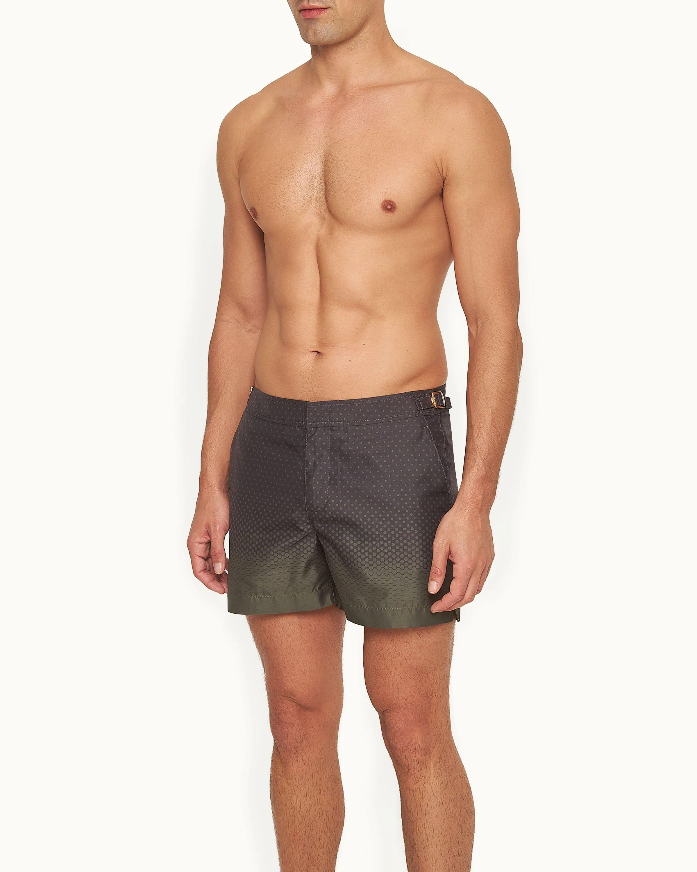Setter - Image 3