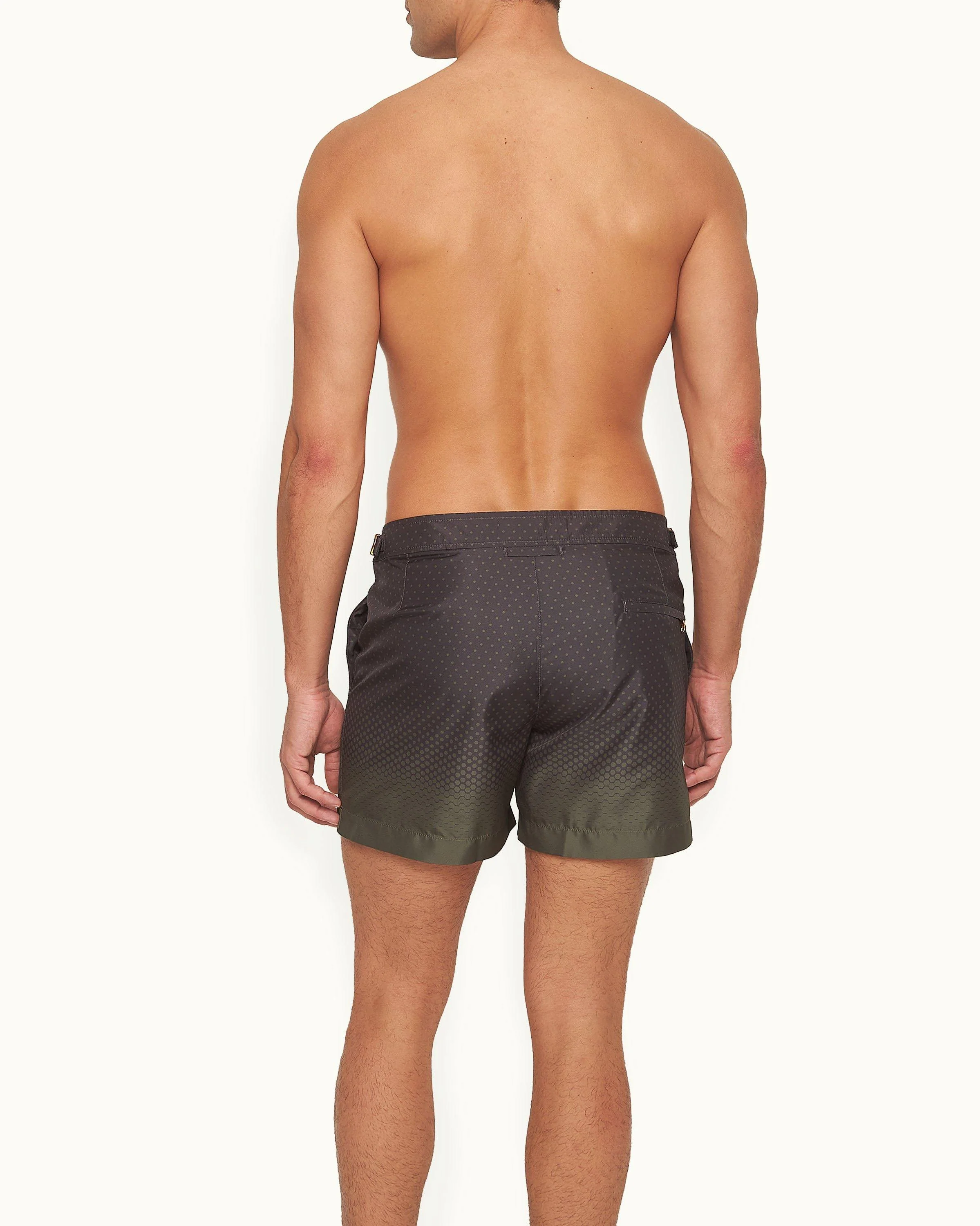 Setter - Image 4