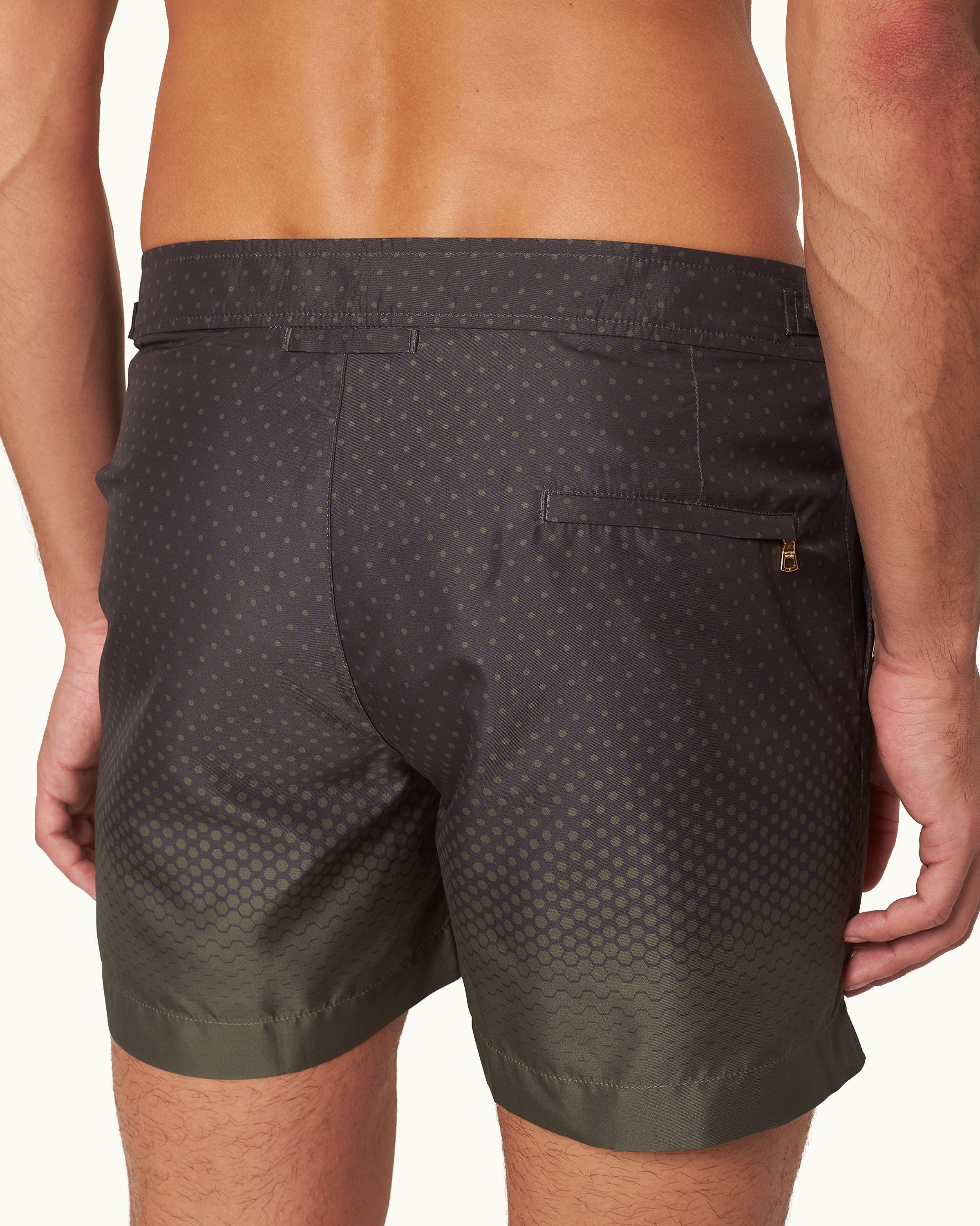 Setter - Image 7