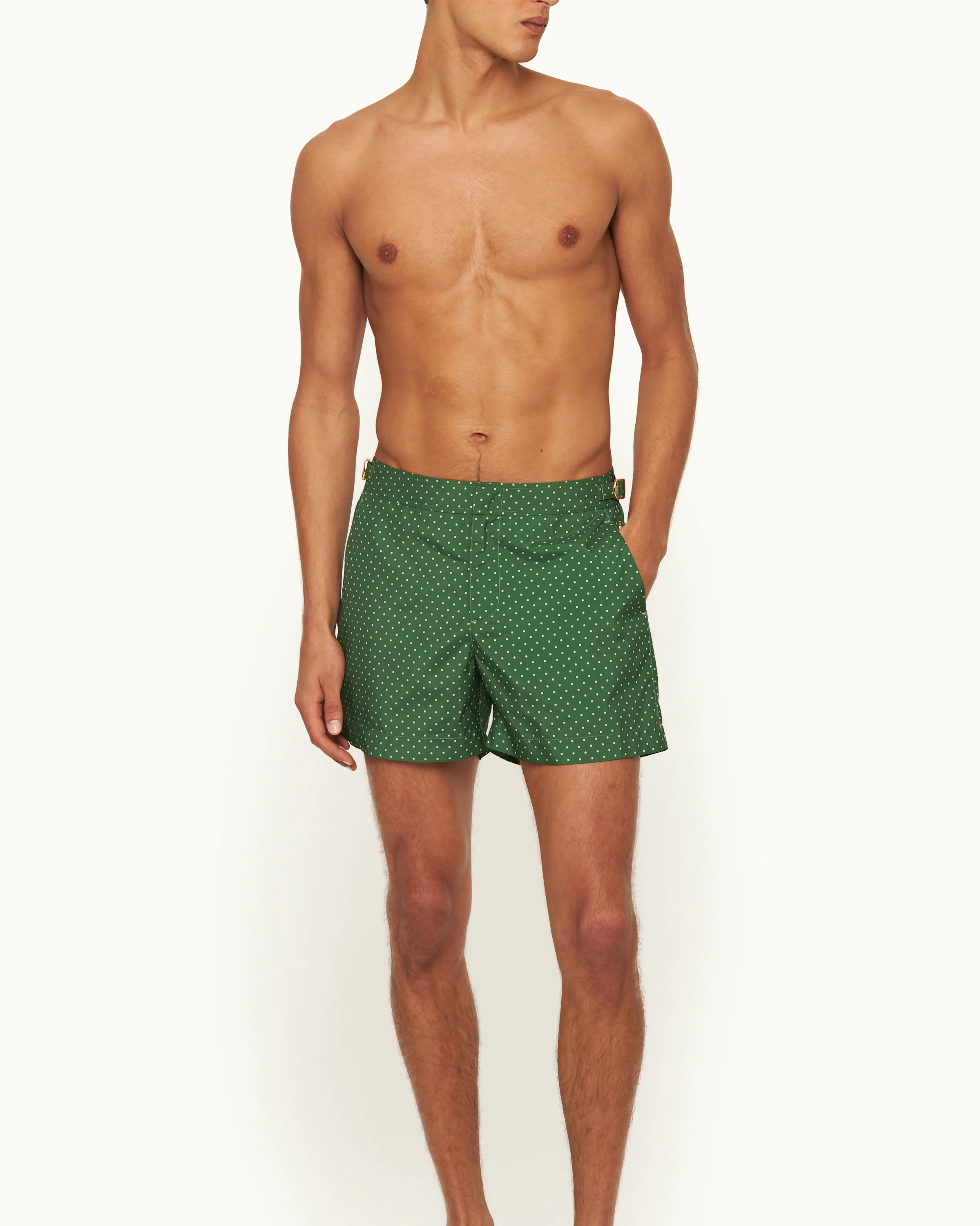 Setter - Image 3