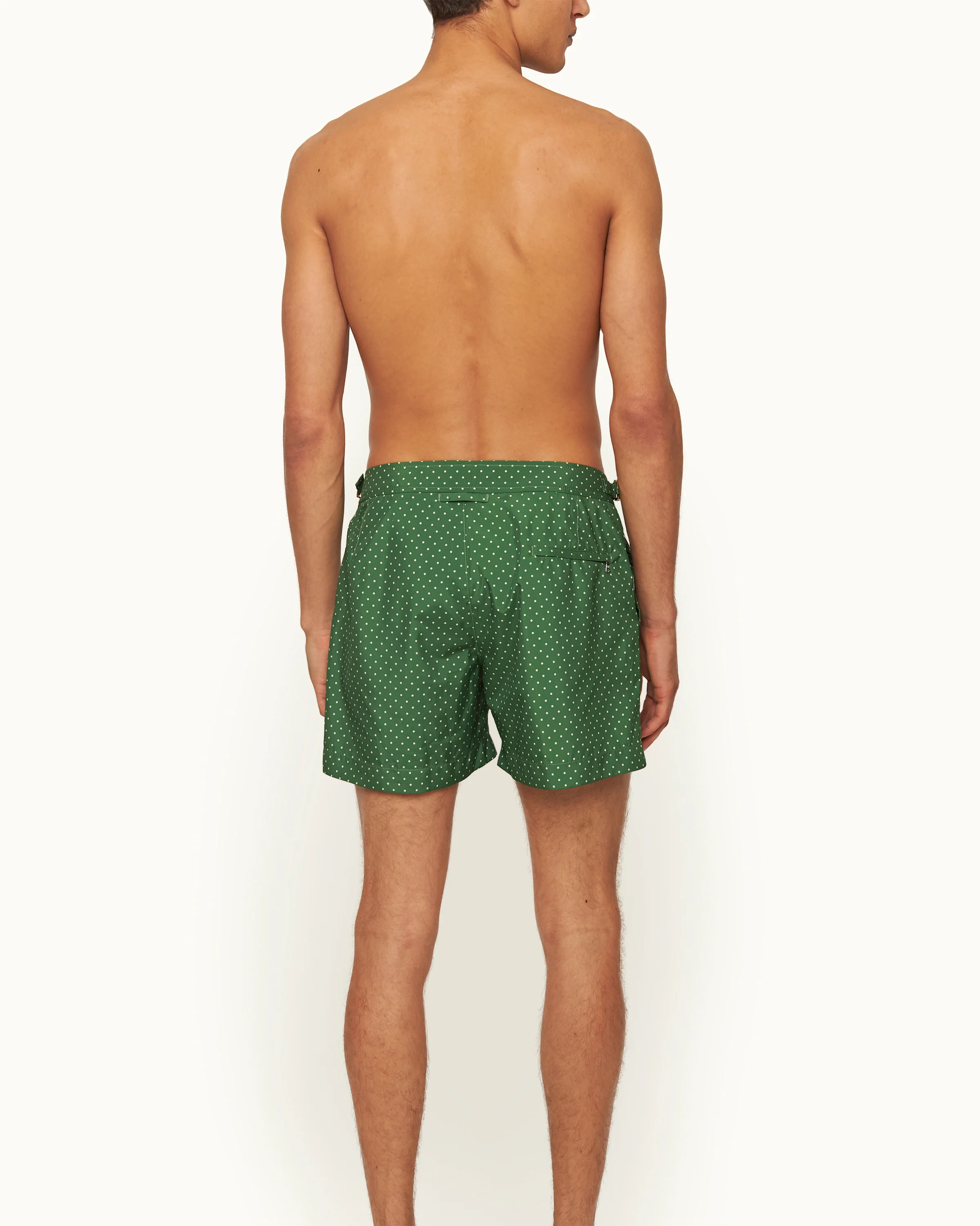 Setter - Image 4