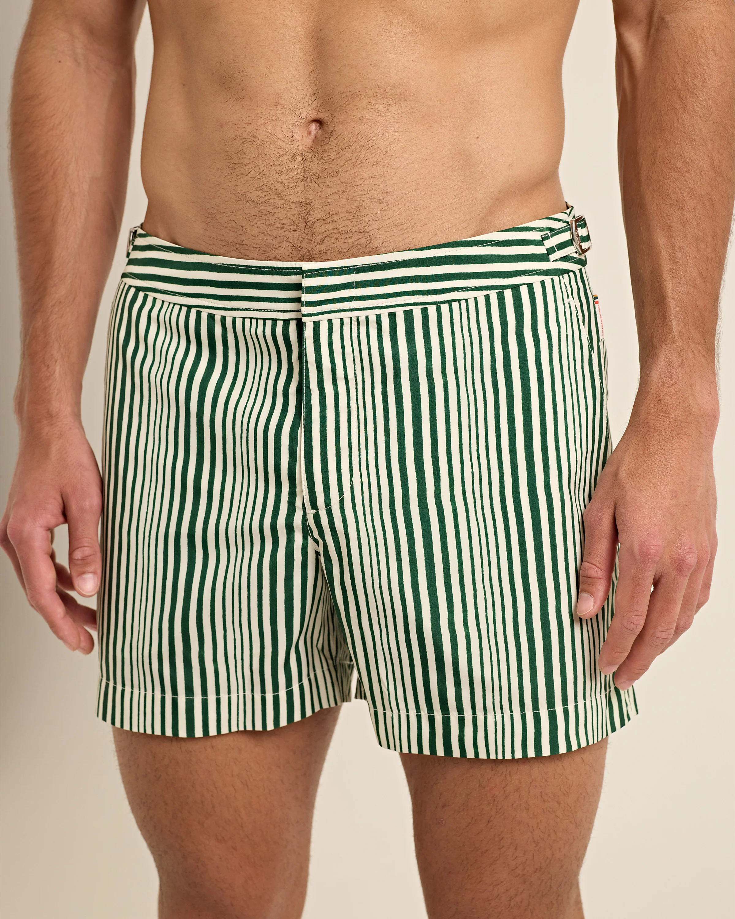 Setter - Image 2