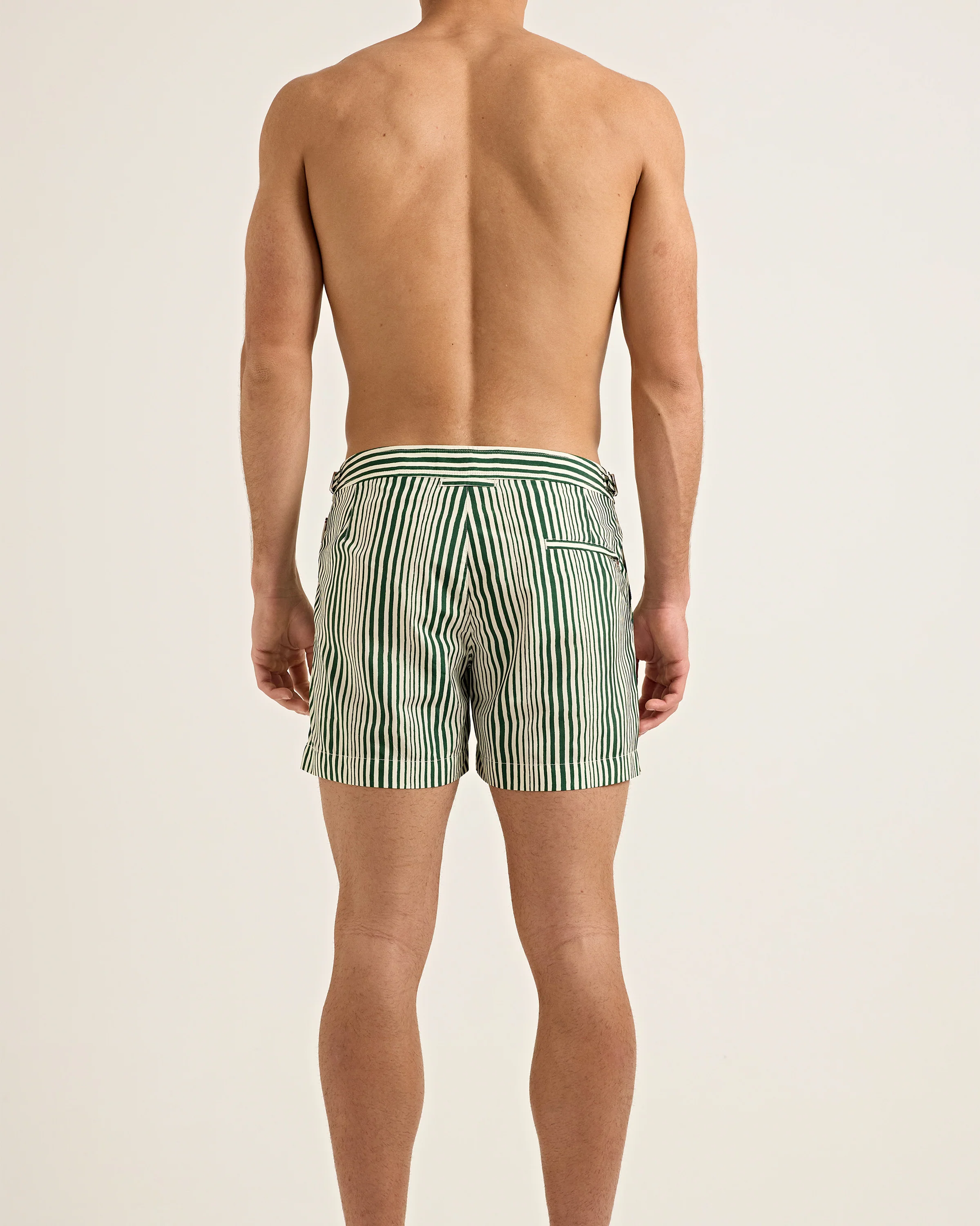 Setter - Image 5