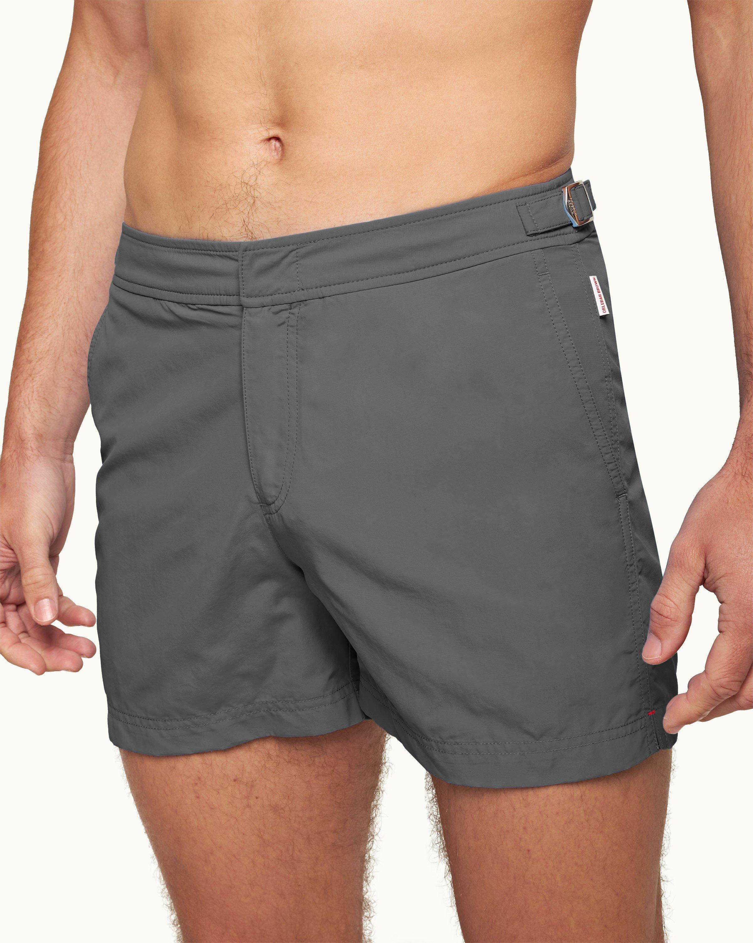 Setter - Image 4