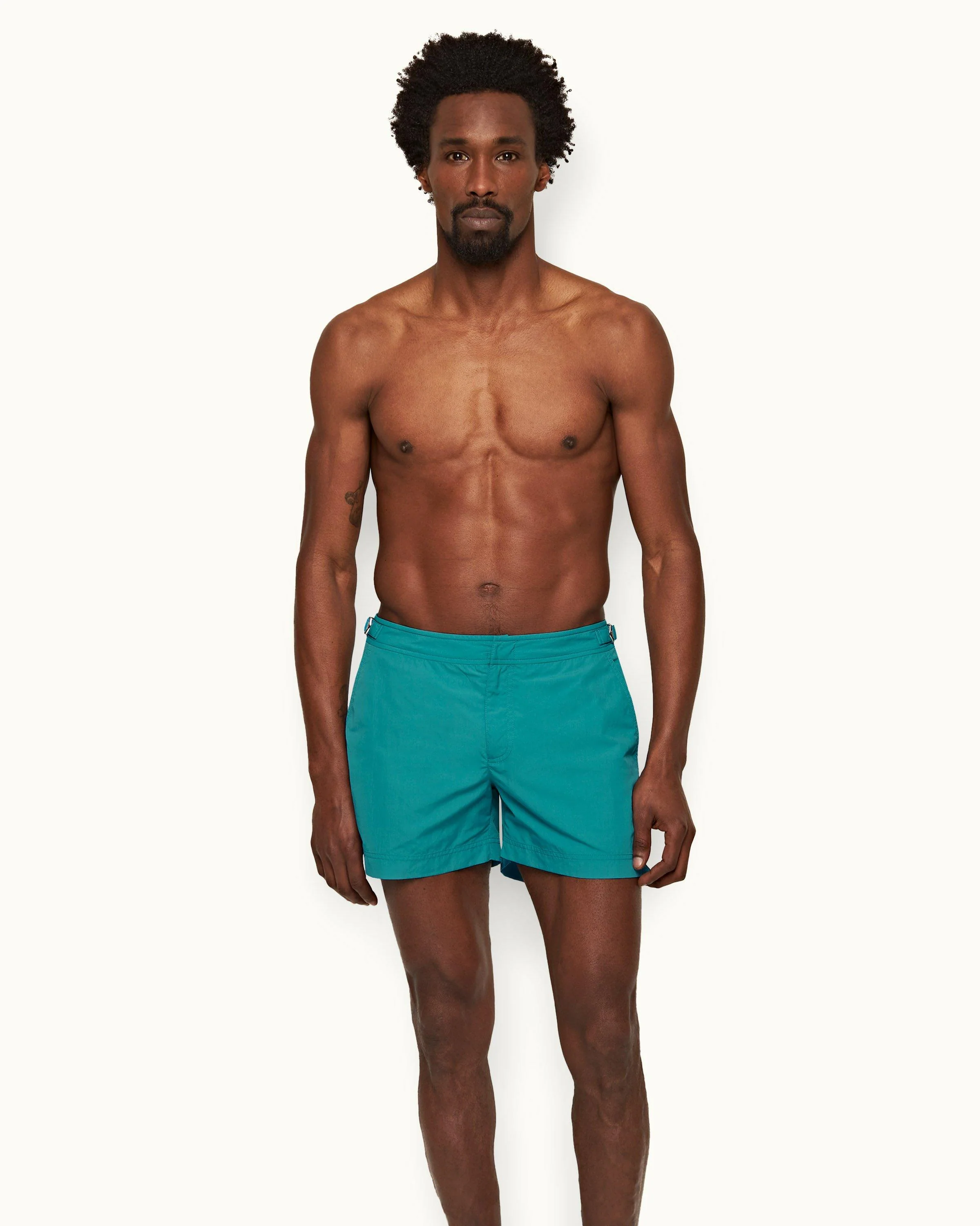 Setter - Image 2