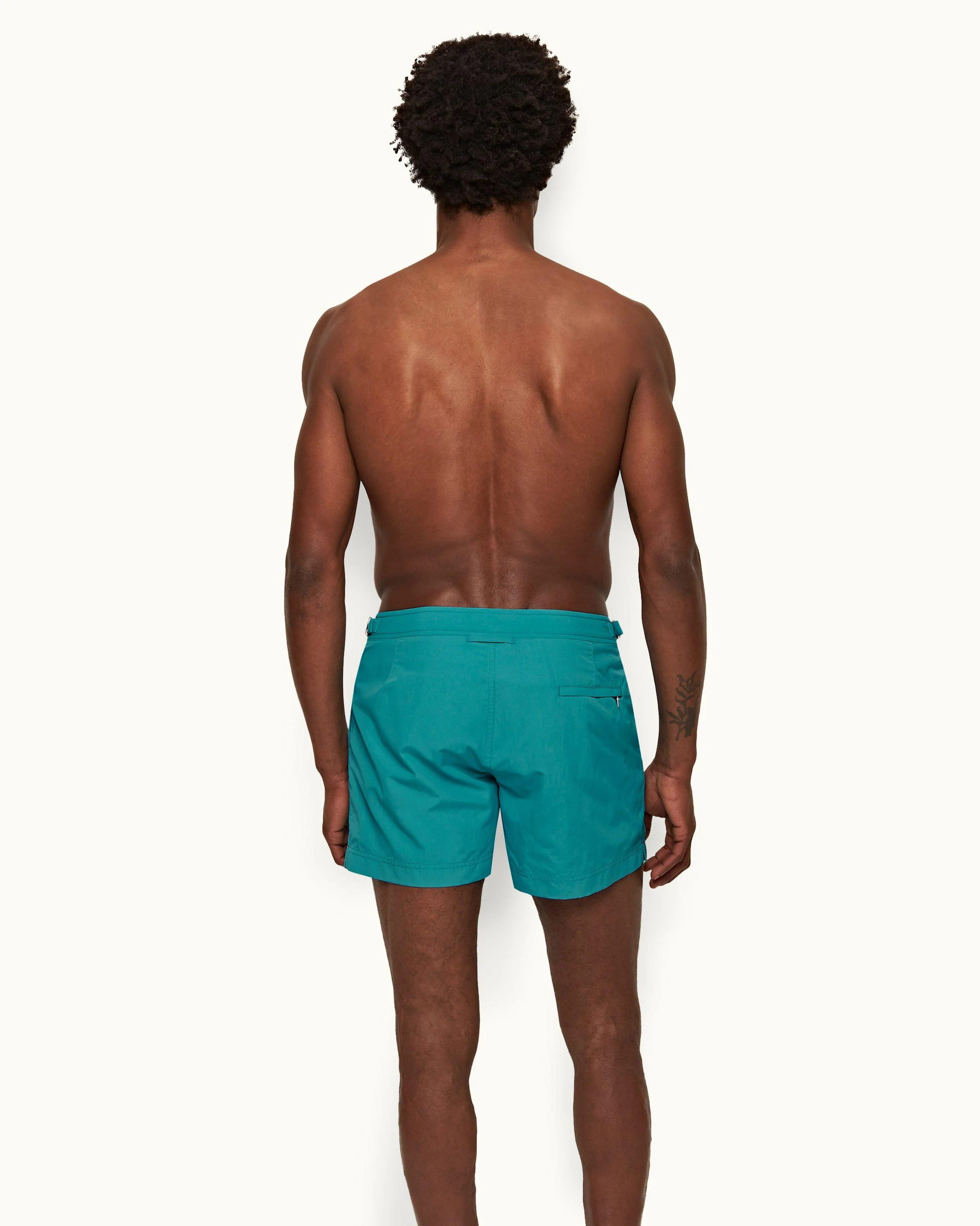 Setter - Image 3