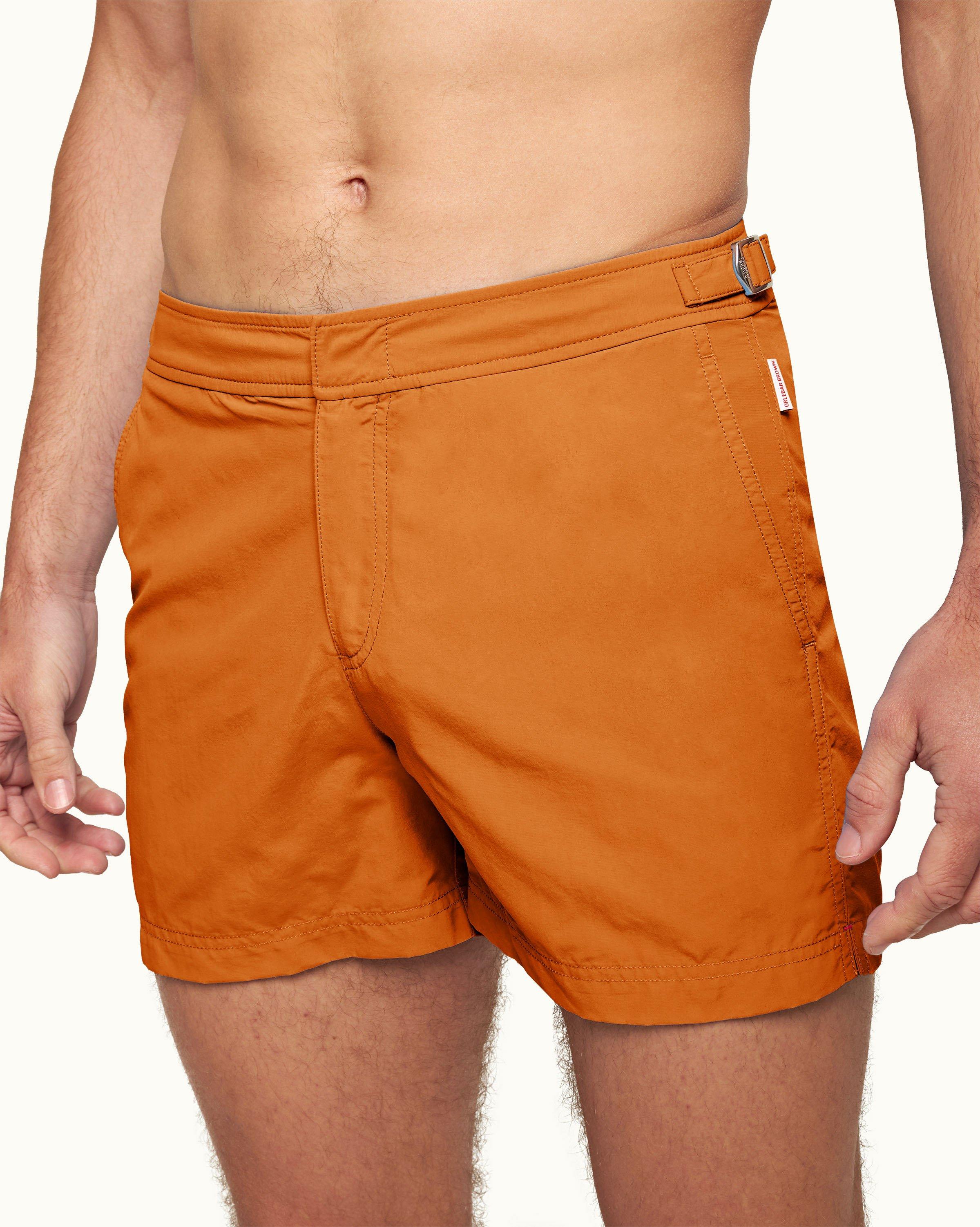 Setter - Image 4