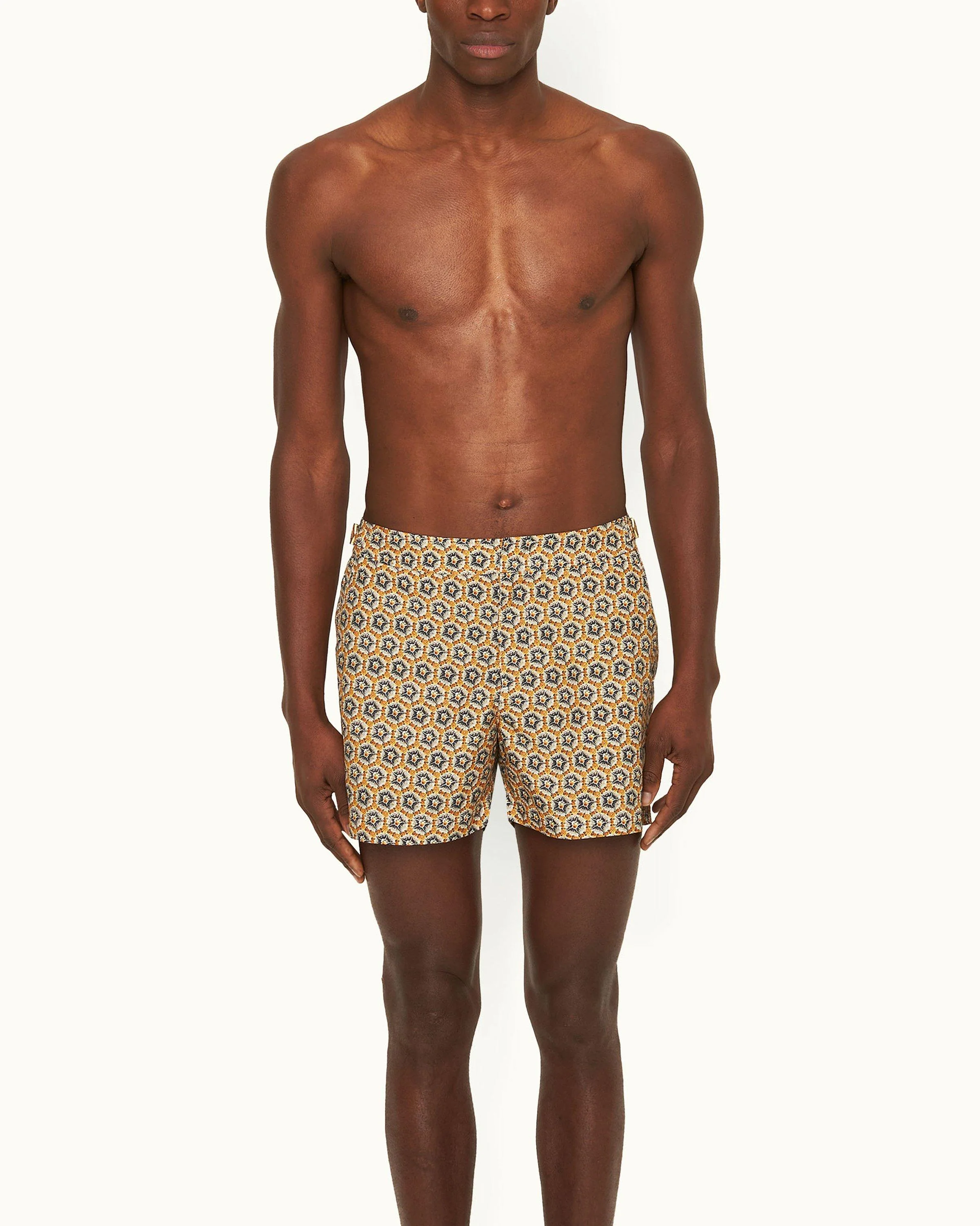 Setter - Image 2