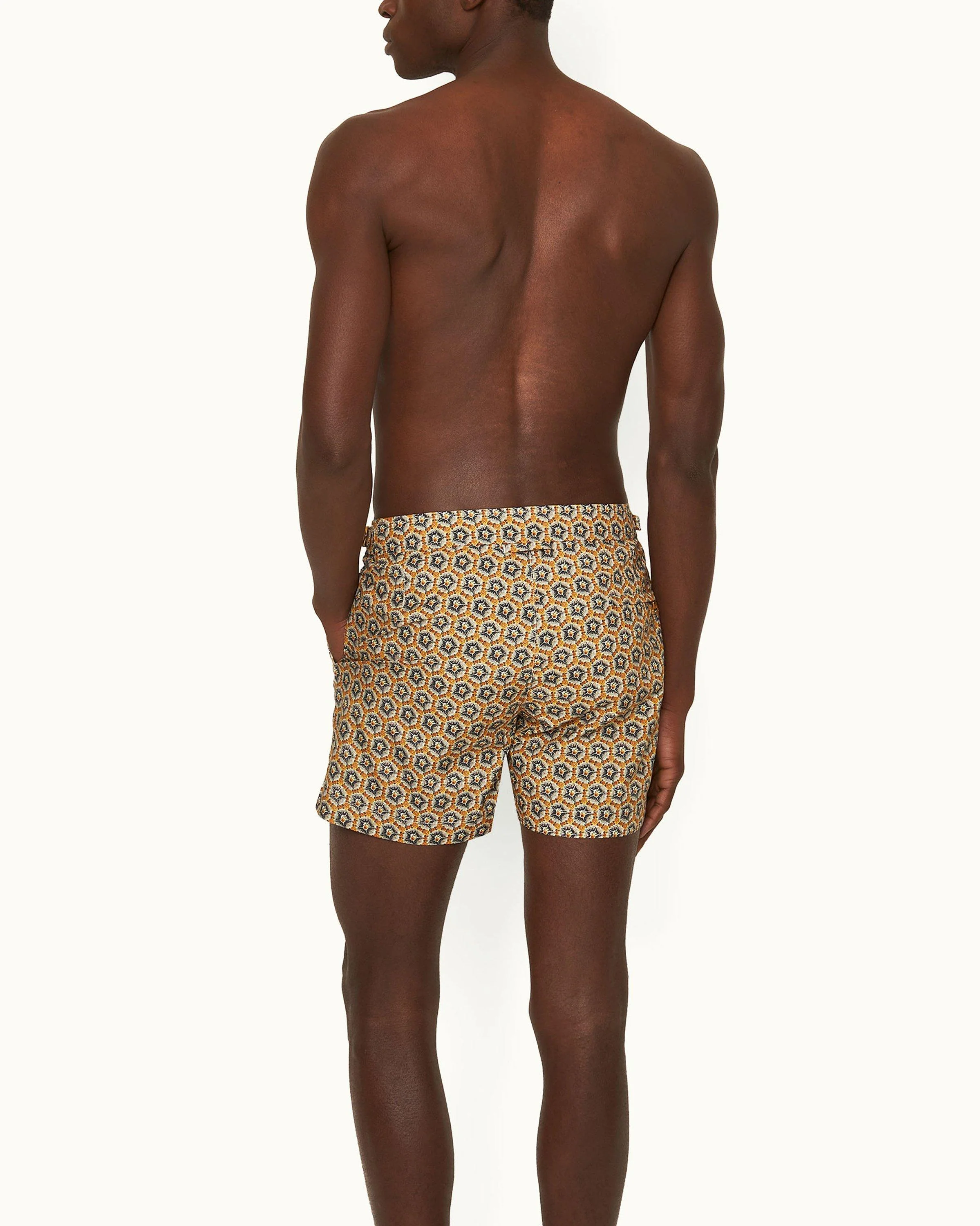 Setter - Image 3