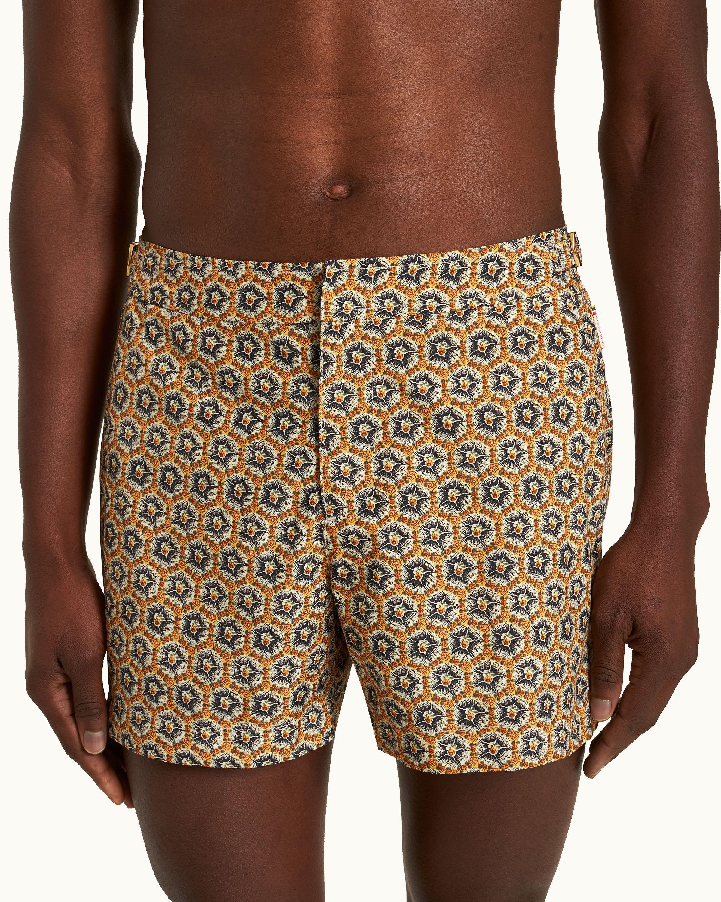 Setter - Image 4