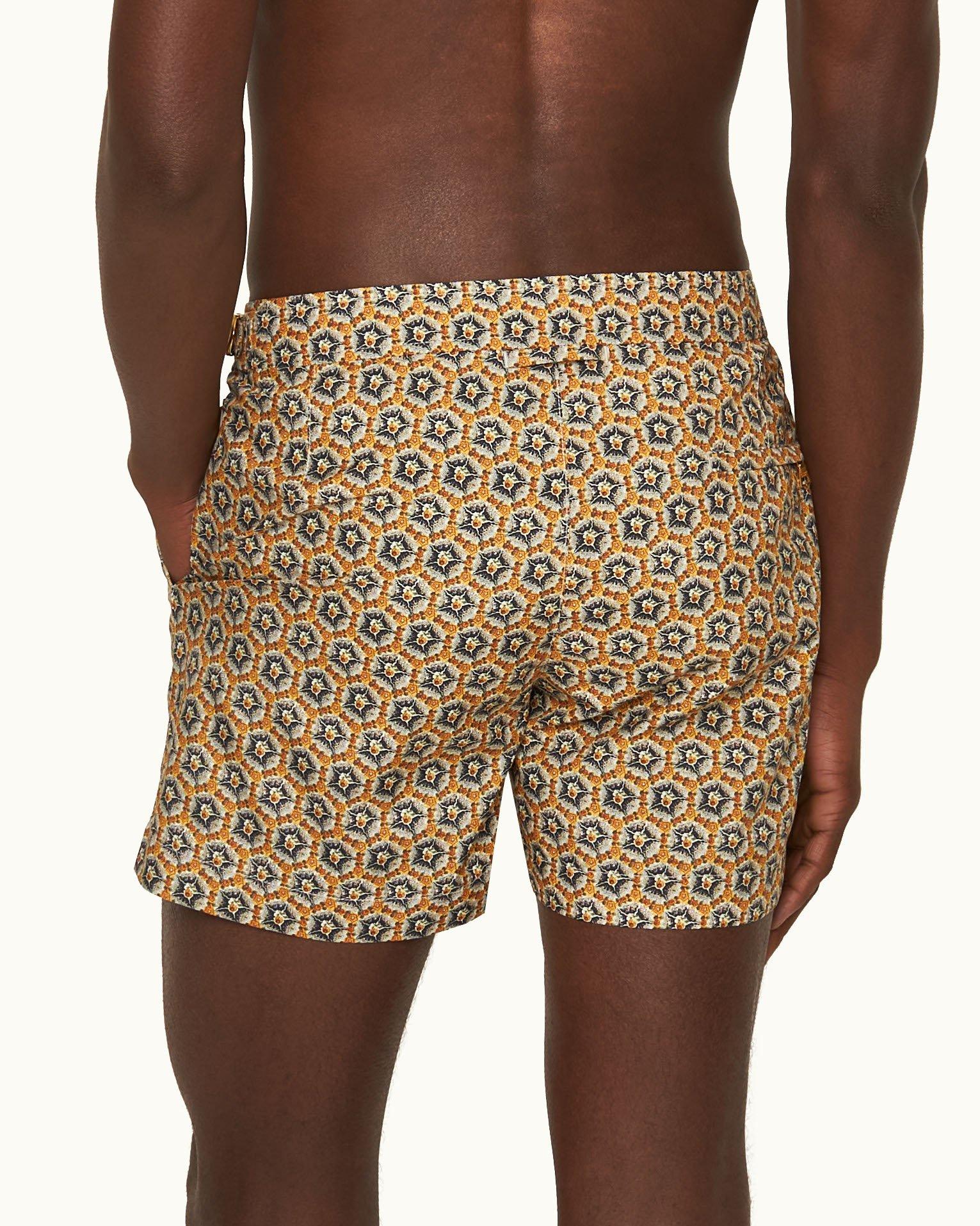 Setter - Image 6