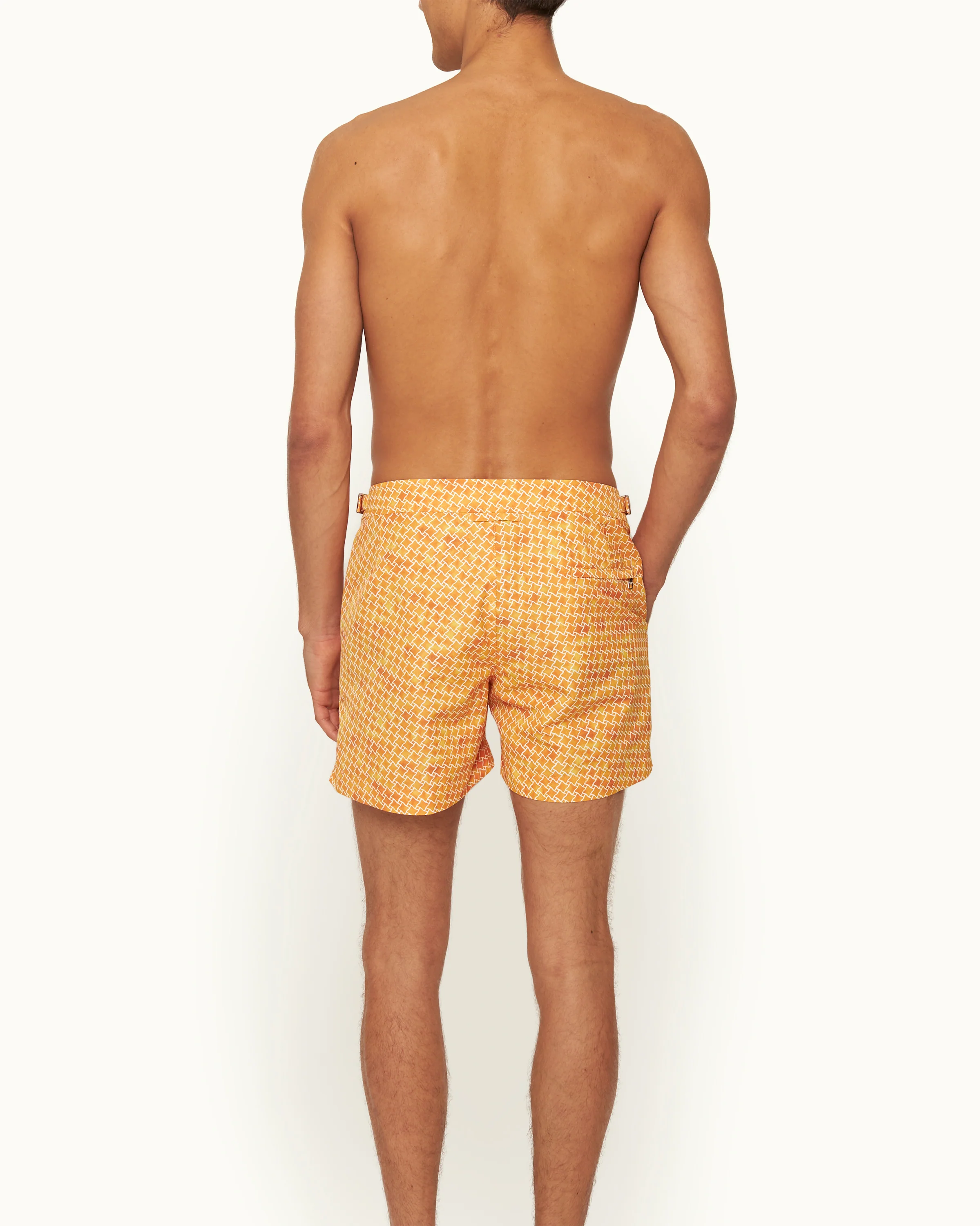 Setter - Image 4