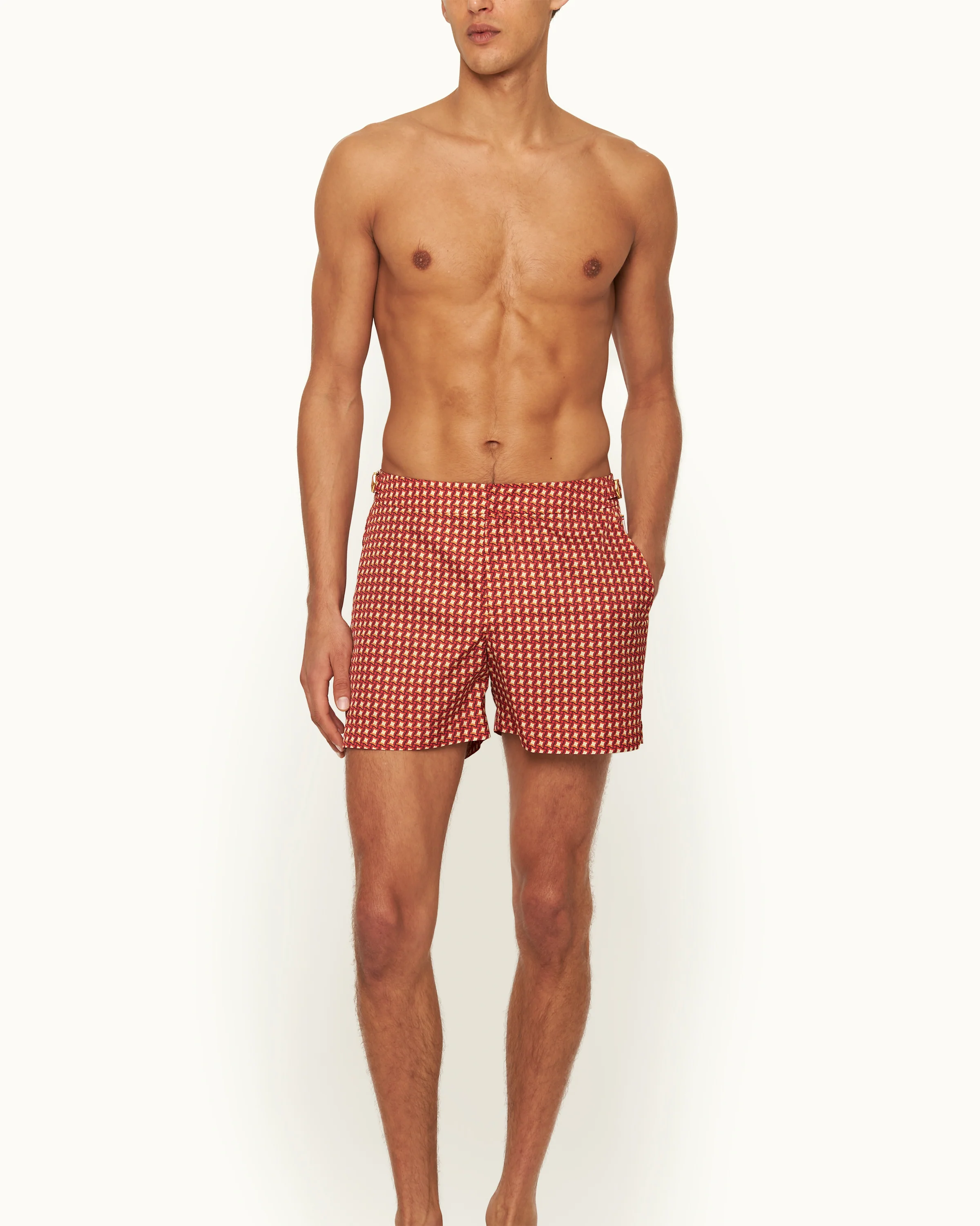 Setter - Image 3