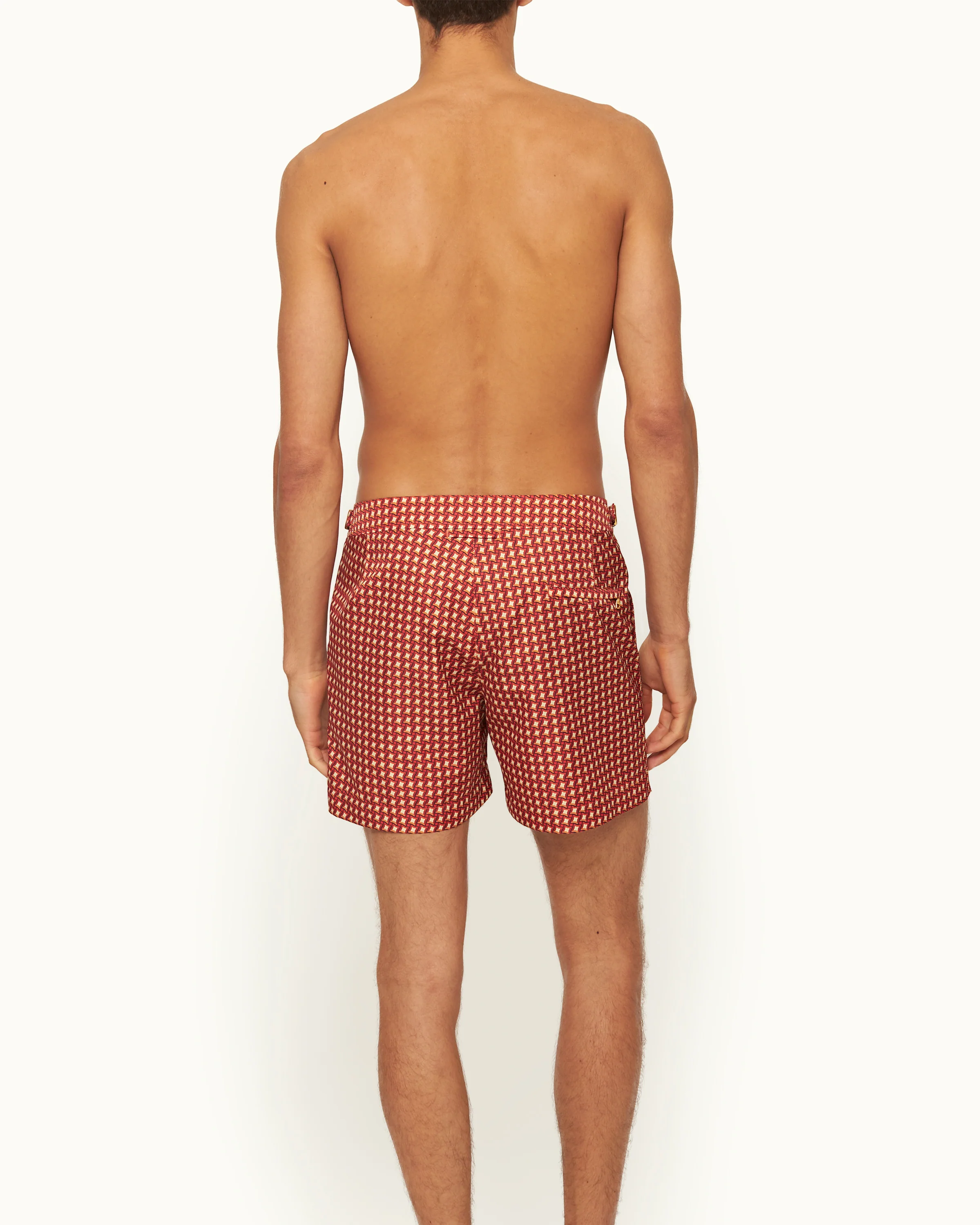 Setter - Image 4