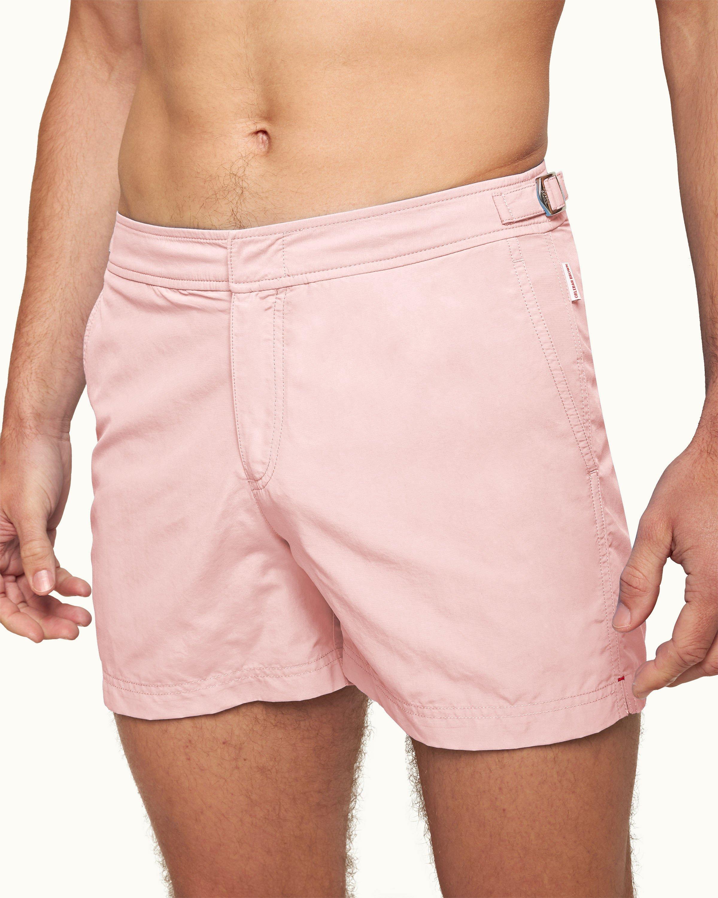 Setter - Image 4
