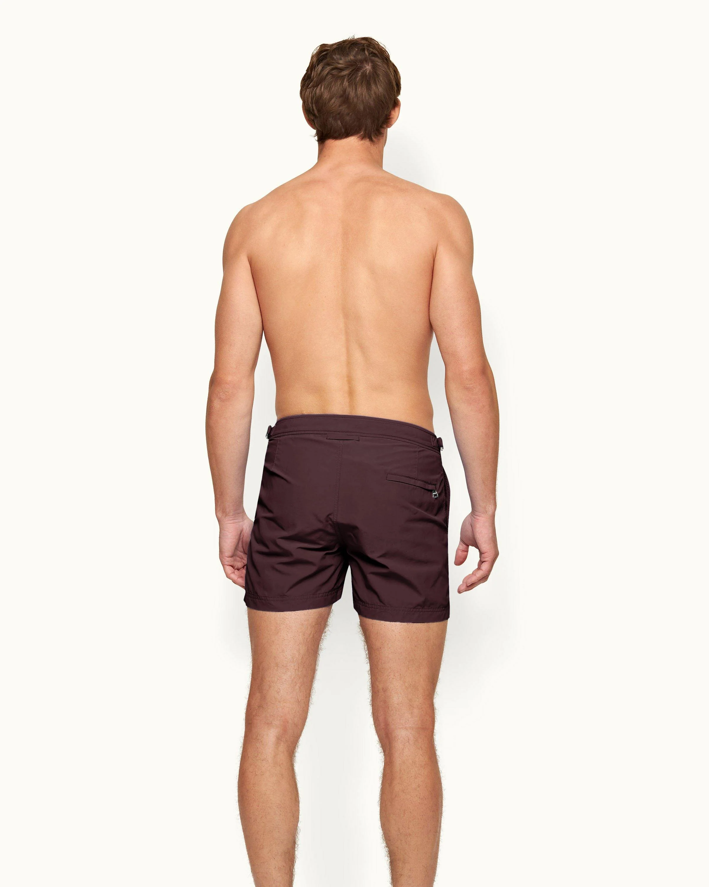 Setter - Image 3