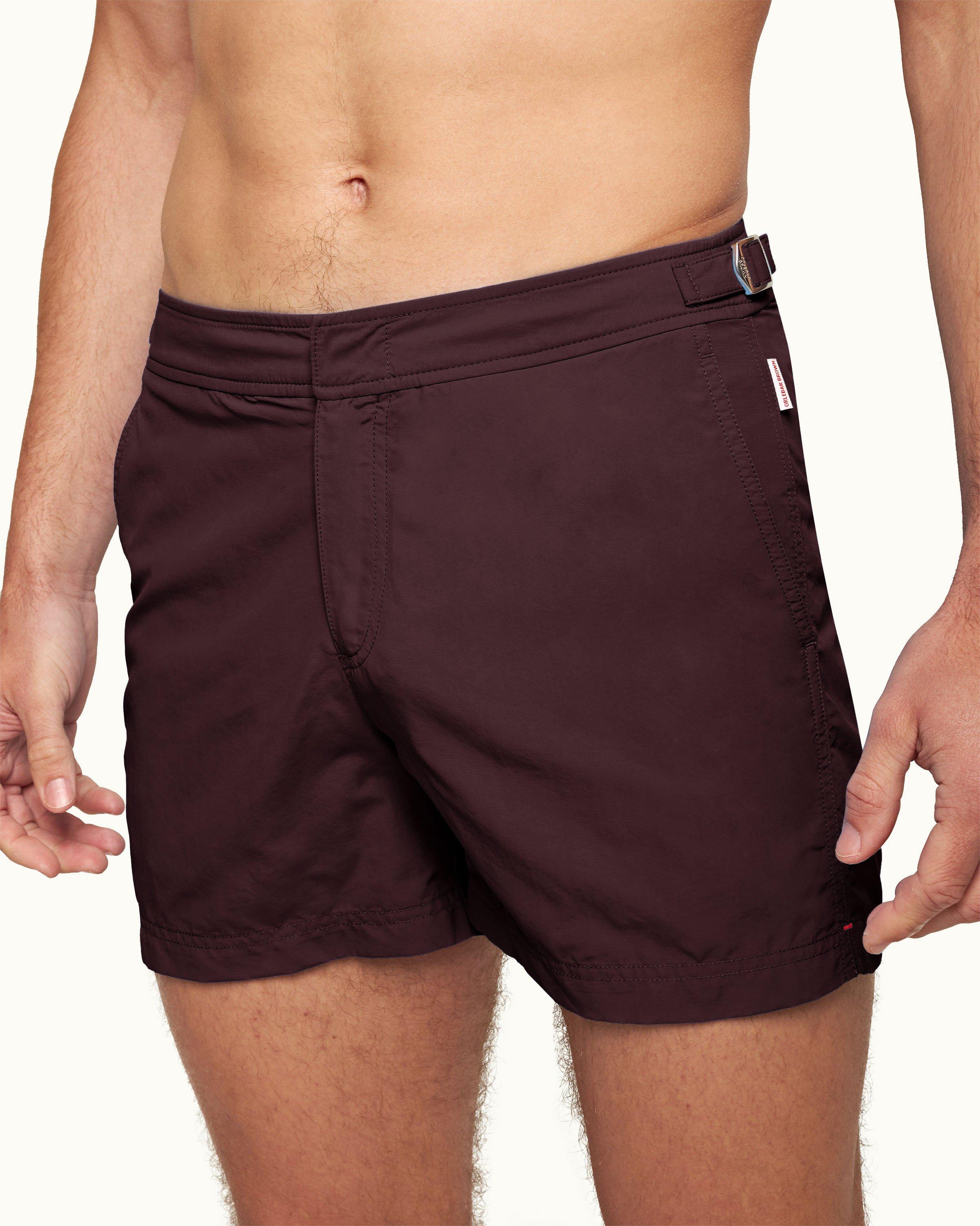 Setter - Image 4