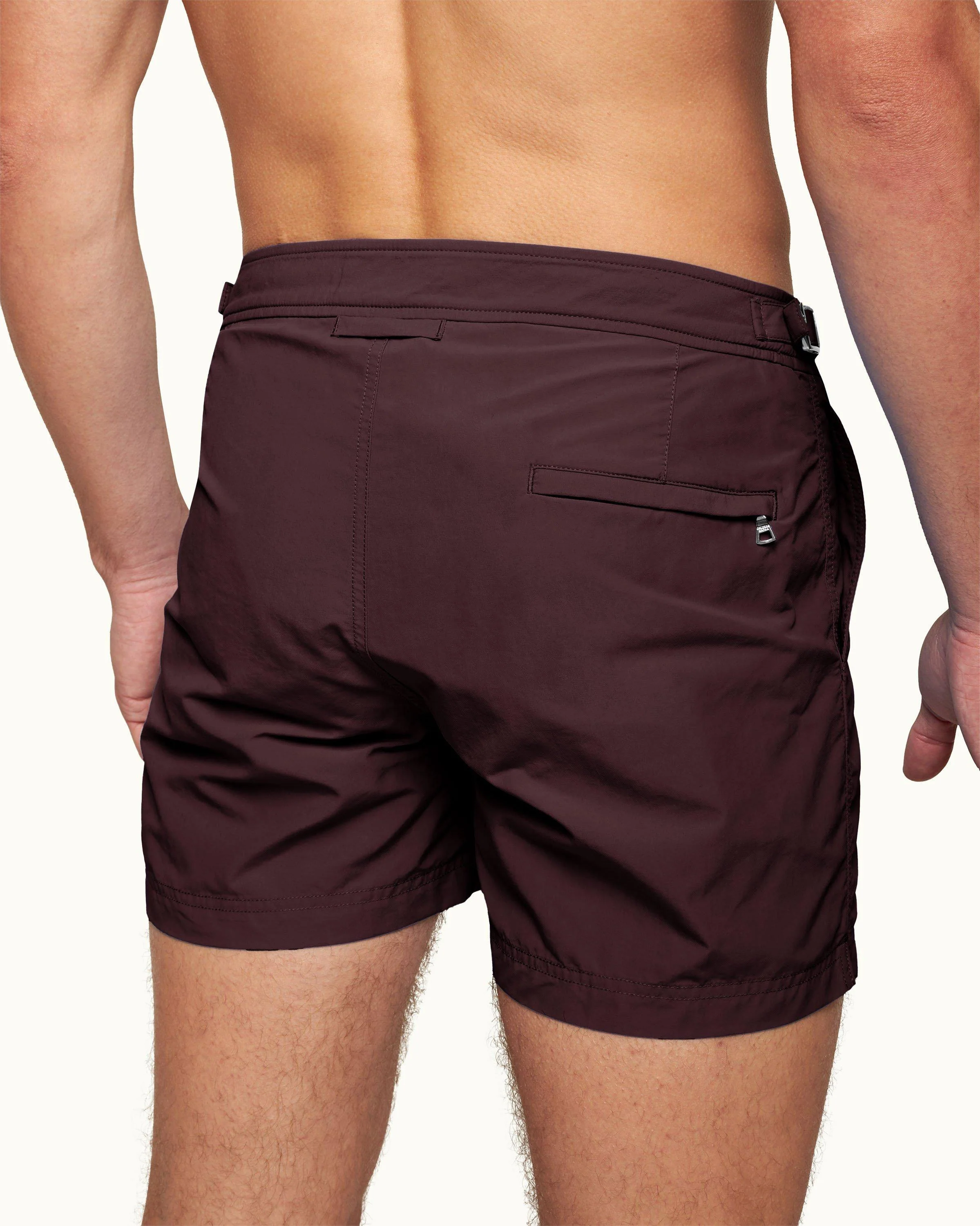 Setter - Image 5