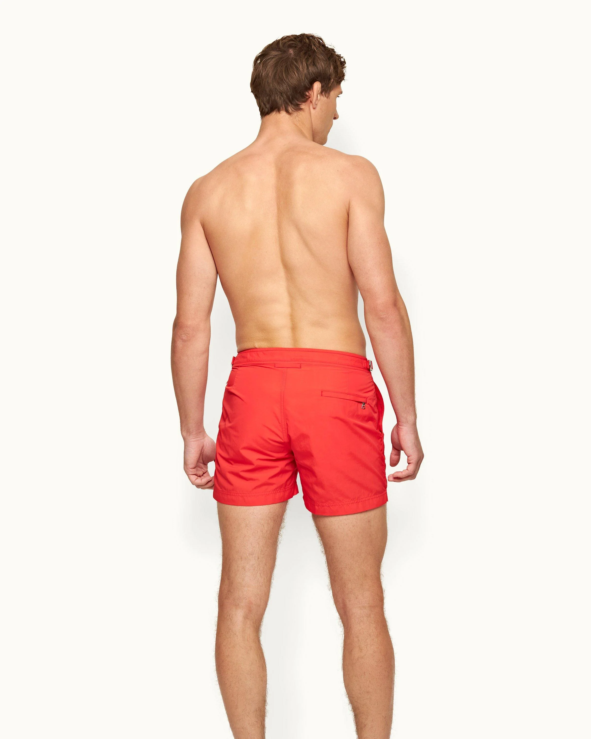 Setter - Image 3