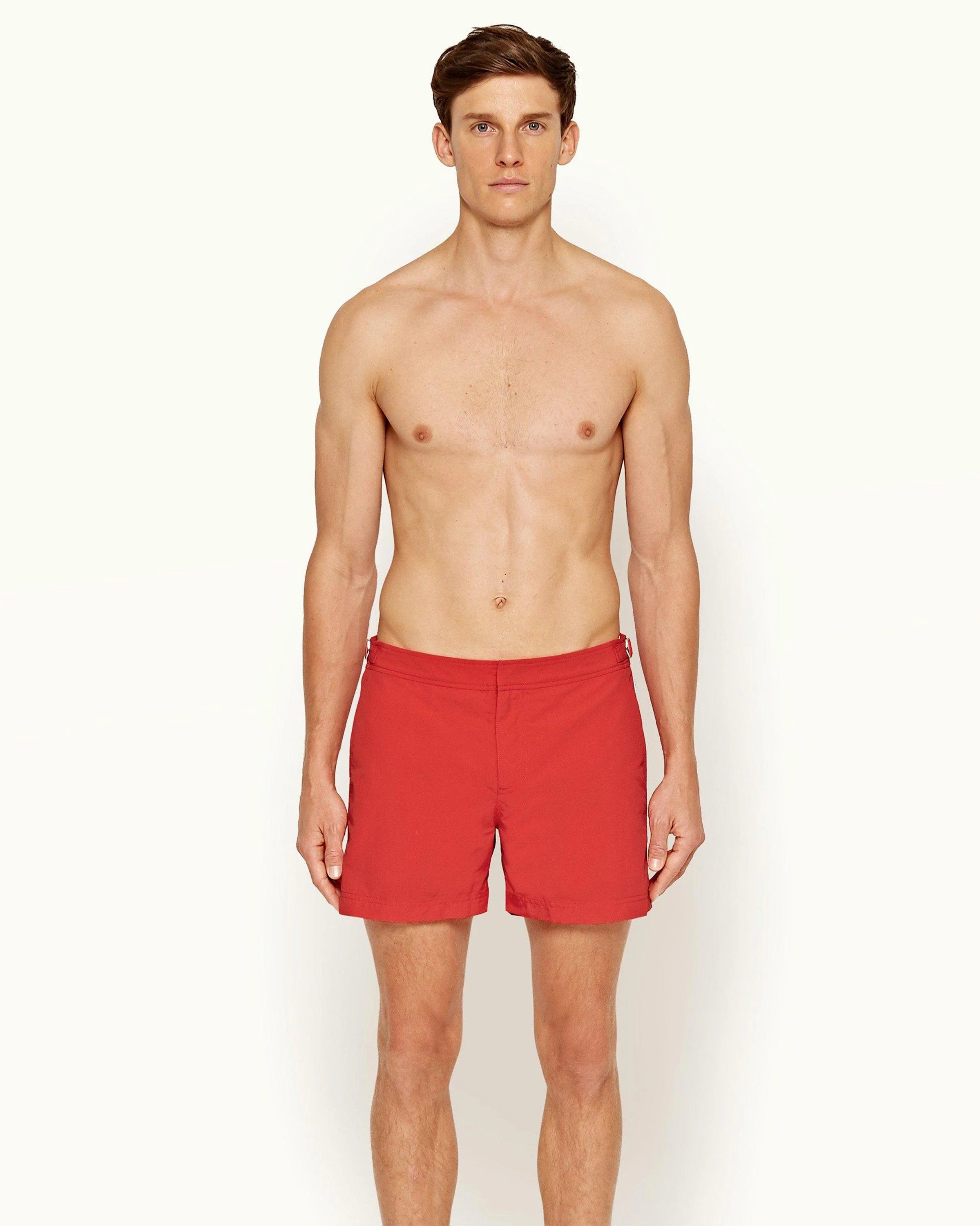 Setter - Image 2