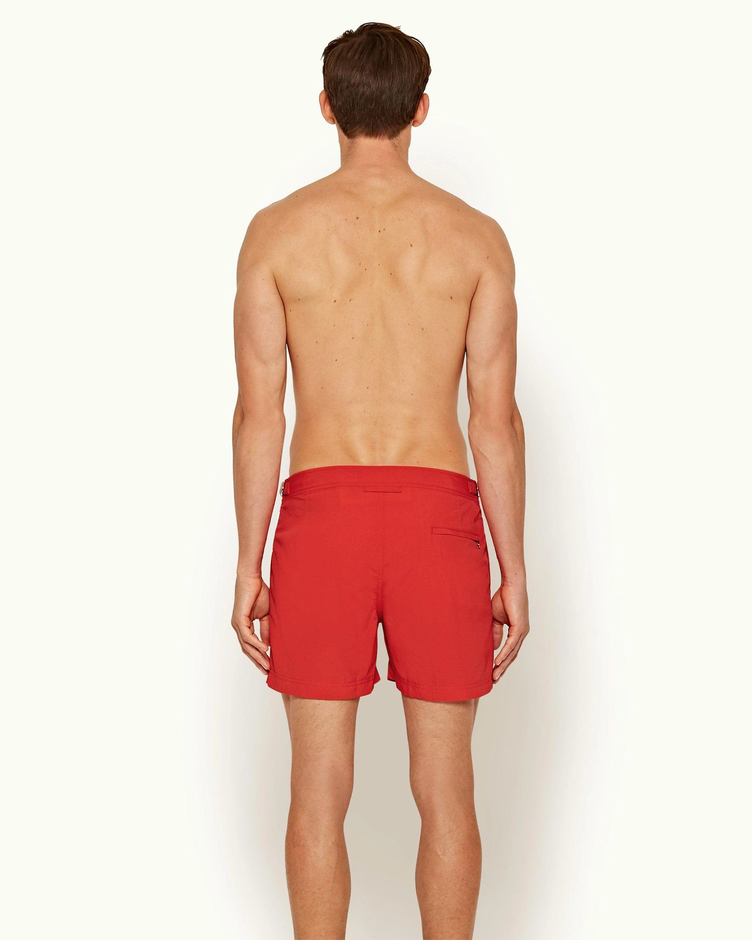 Setter - Image 3