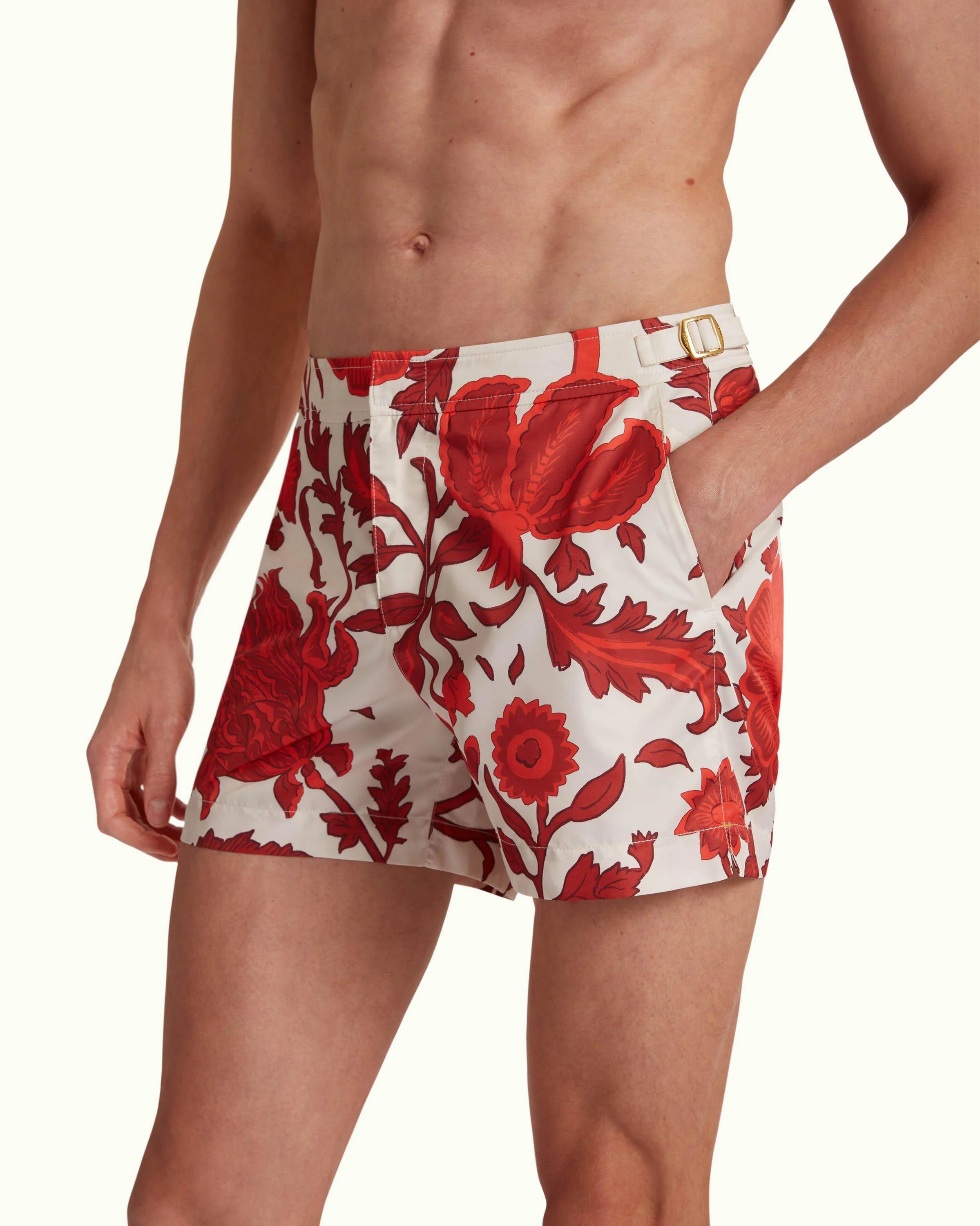 Setter - Image 4