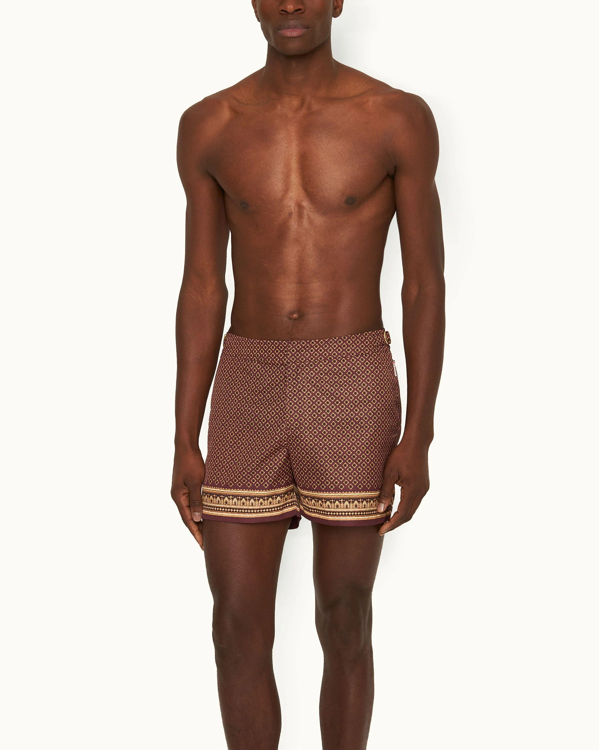 Setter - Image 2