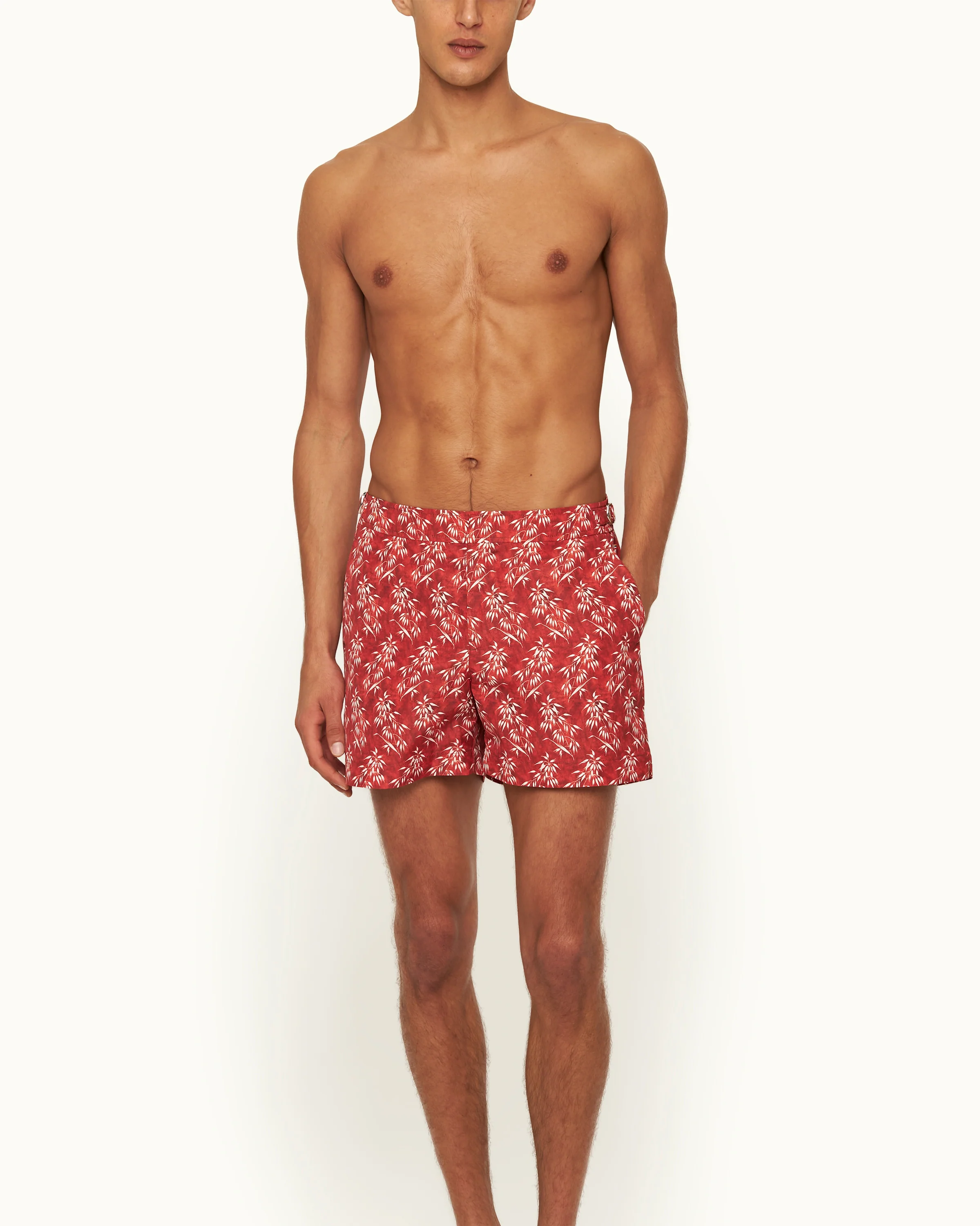 Setter - Image 3