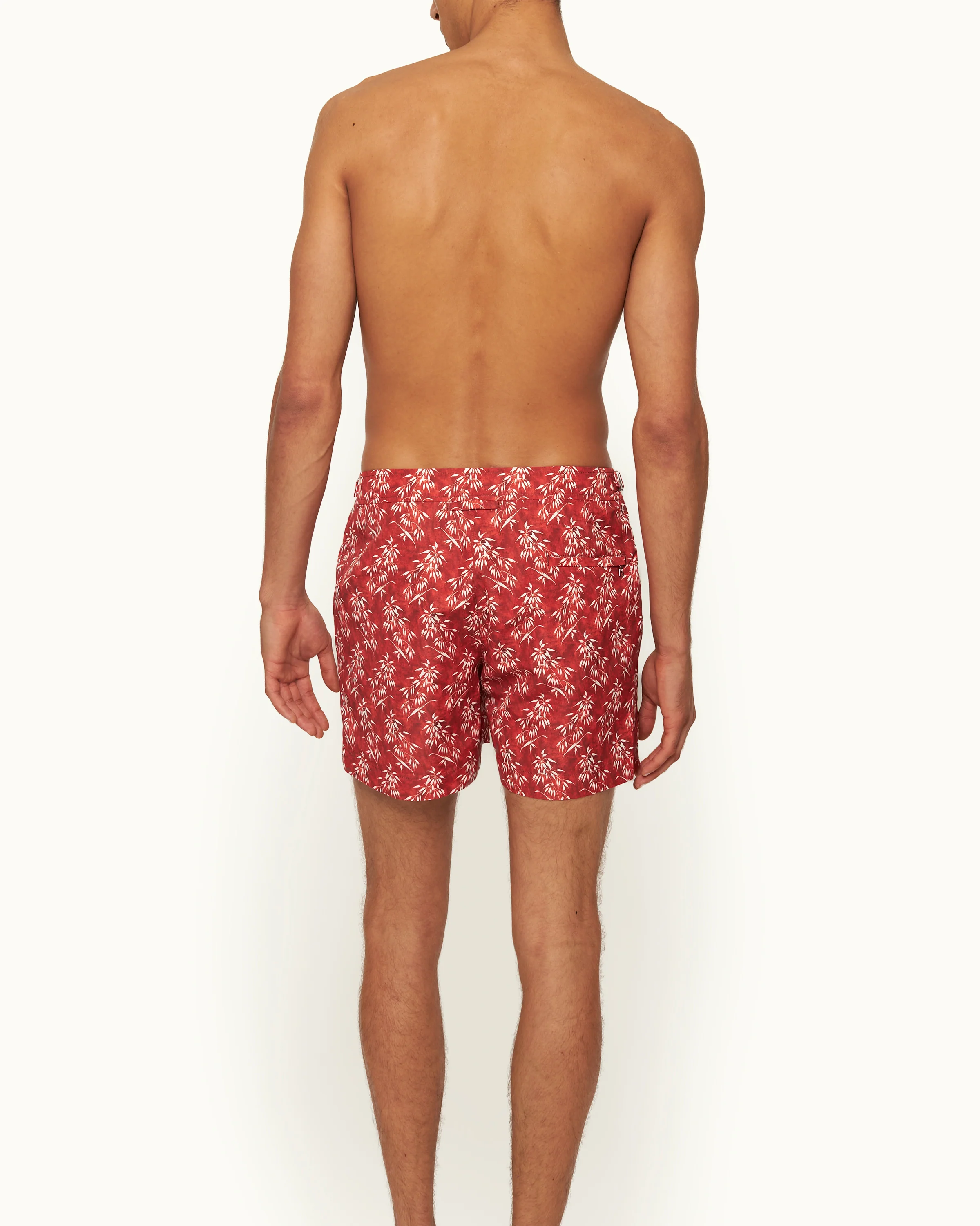 Setter - Image 4