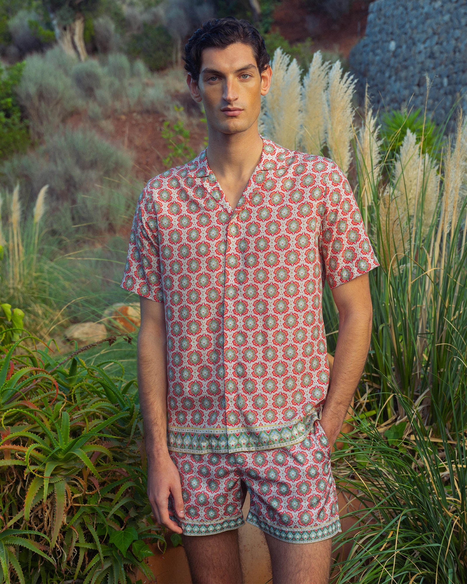Setter - Image 6