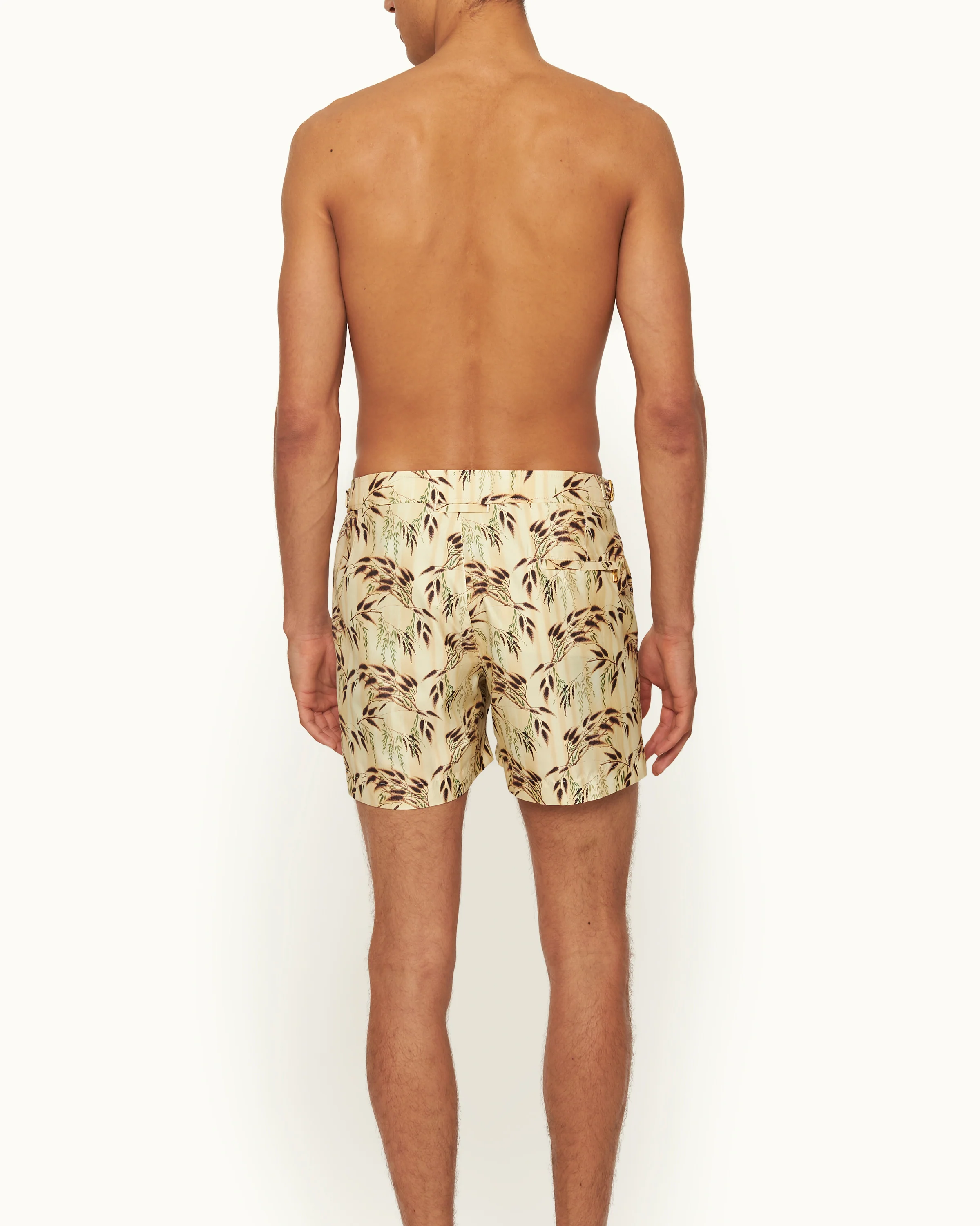 Setter - Image 4