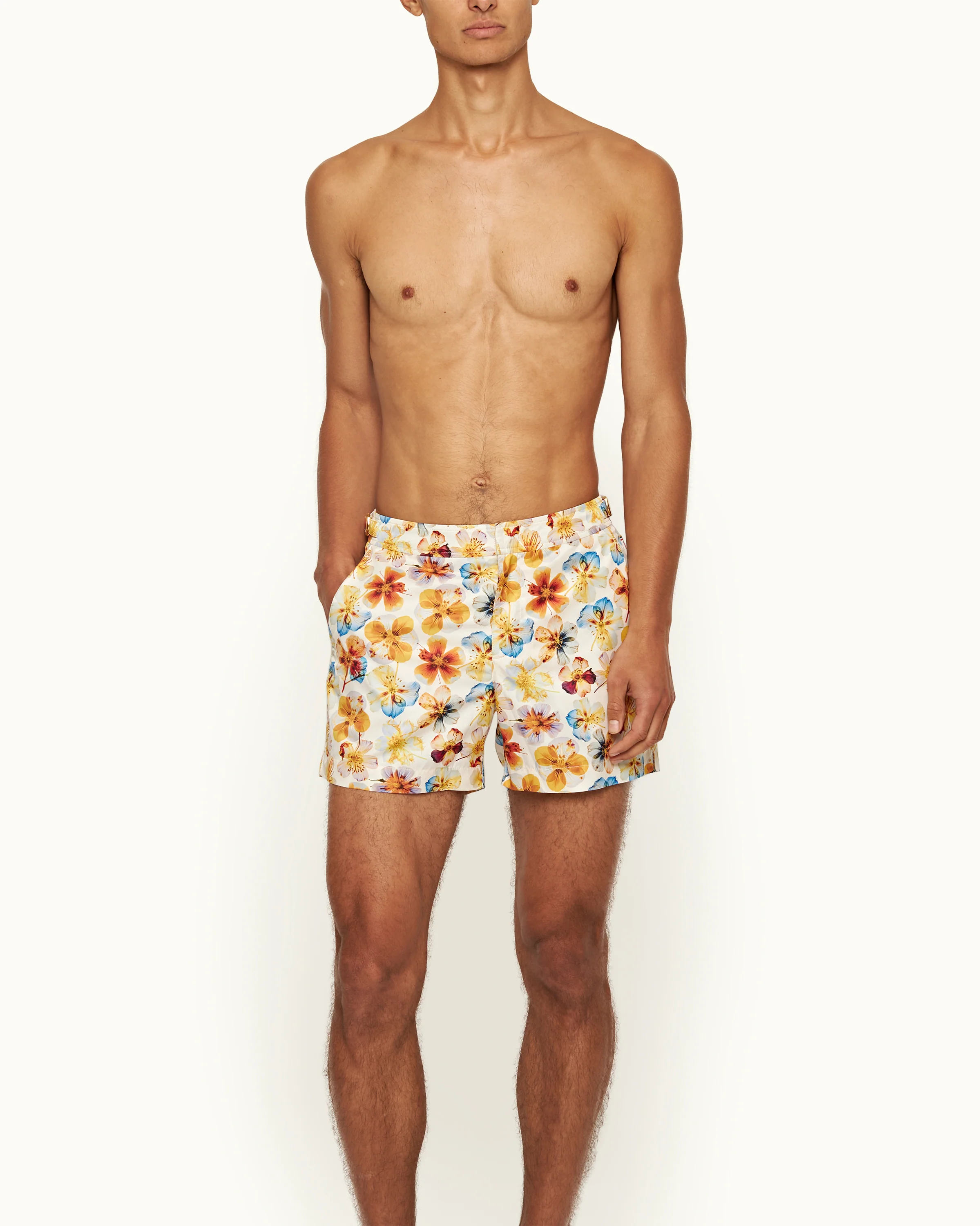 Setter - Image 3